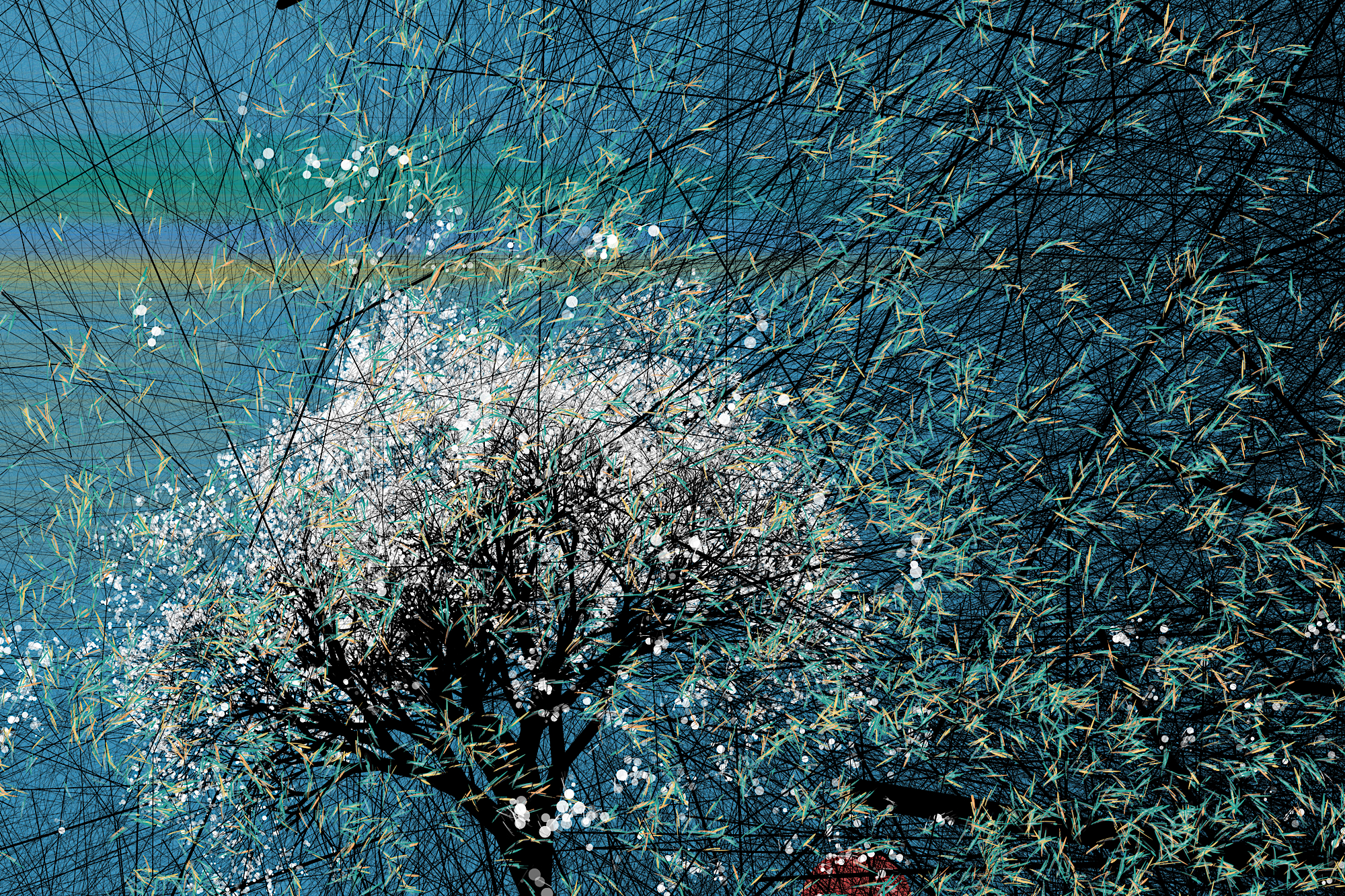 conversation with the wind