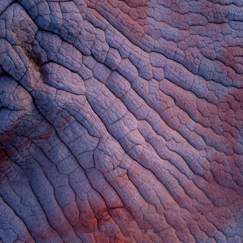 ELEMENTAL VORTEX 002 //