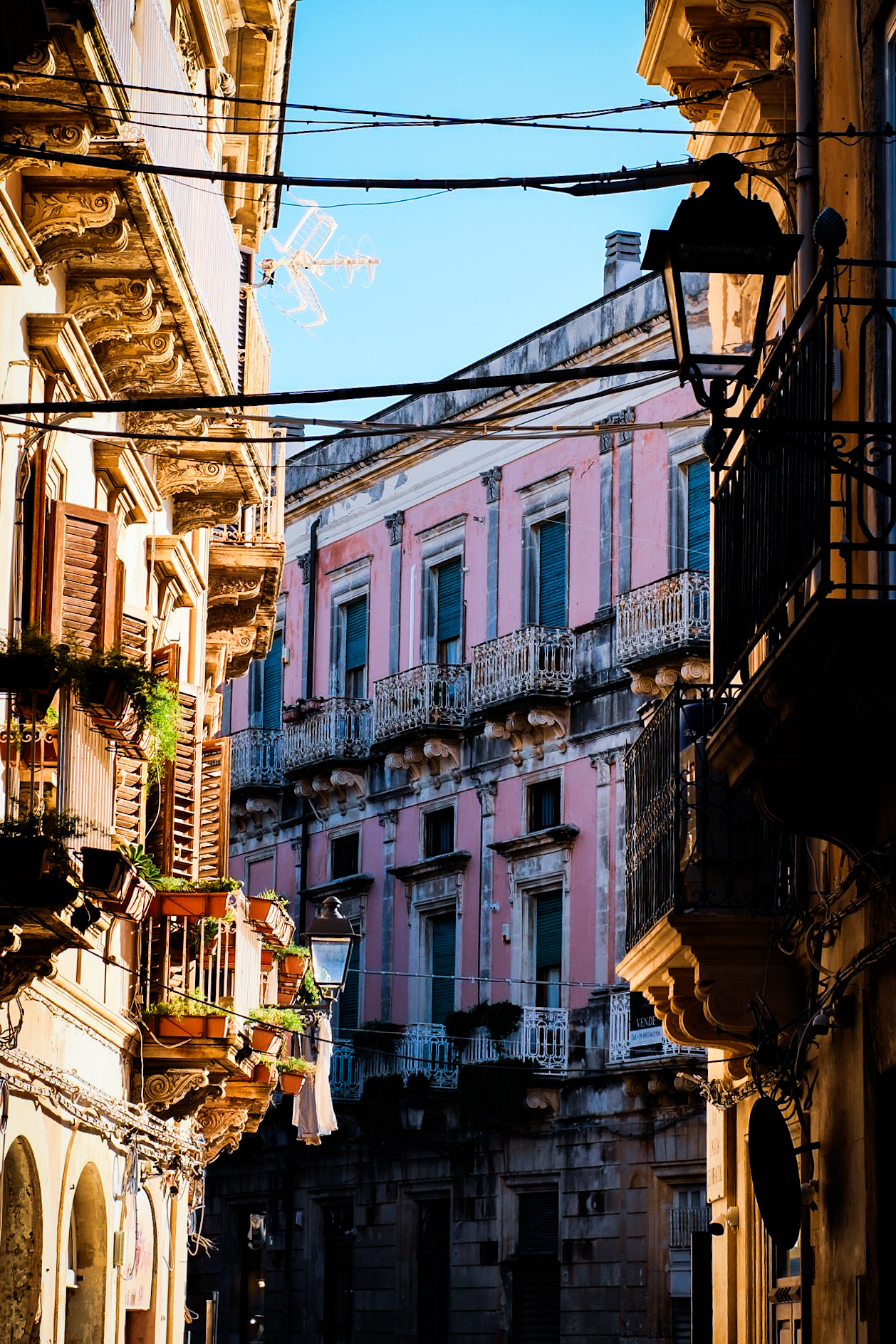 i see the world in light ☀️