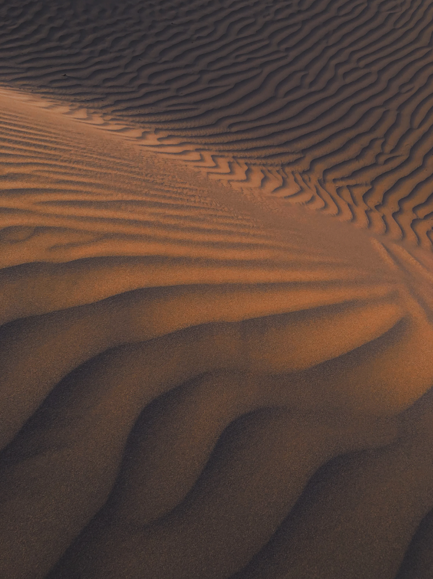 Dune Symphony #2 🏜️ 🎻