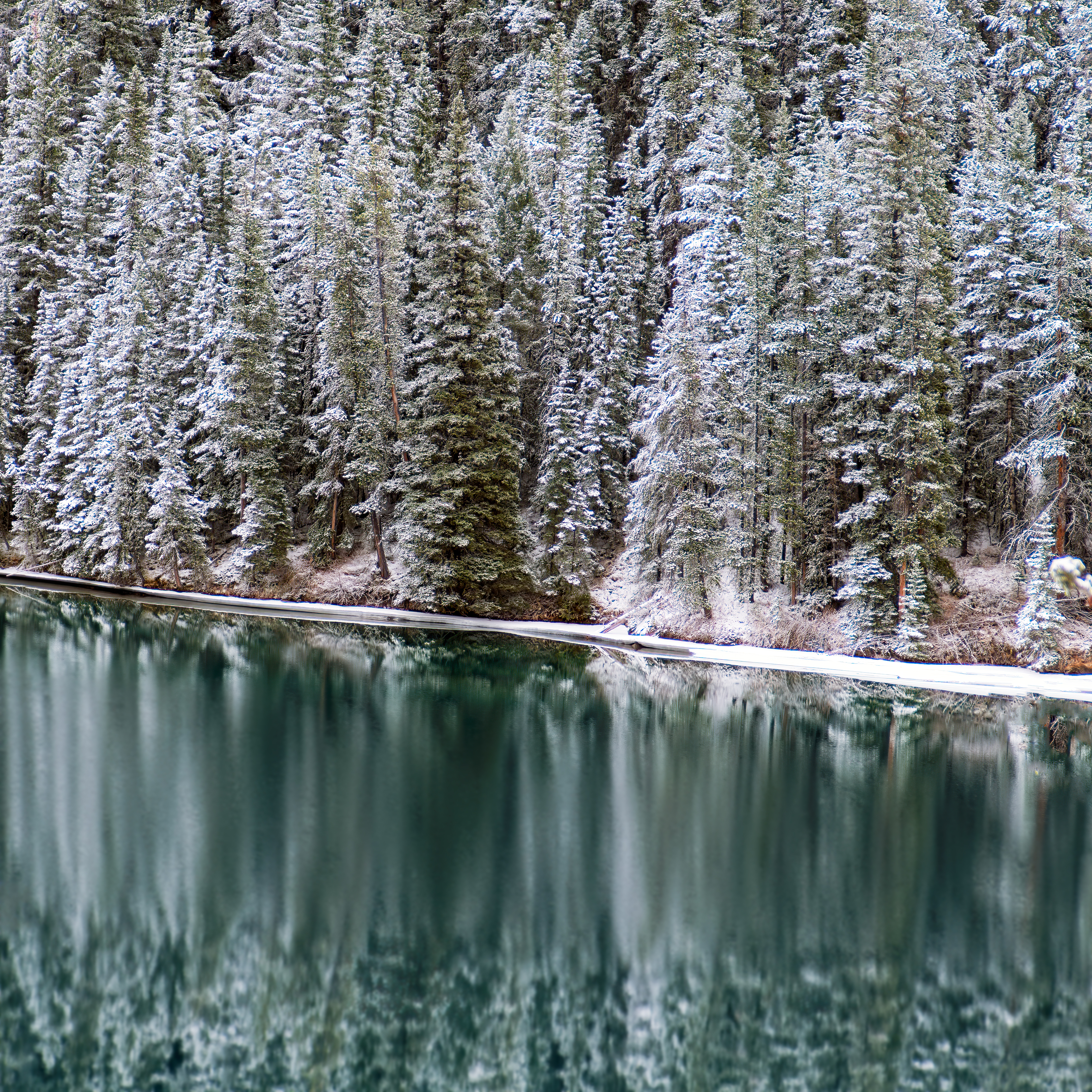 Ice Water