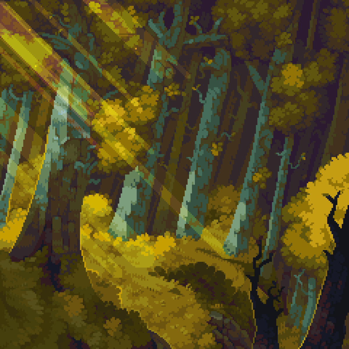 SUNLIT FOREST