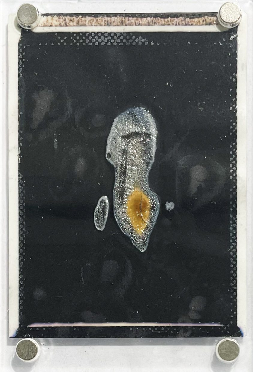 A frame in time (99/108)