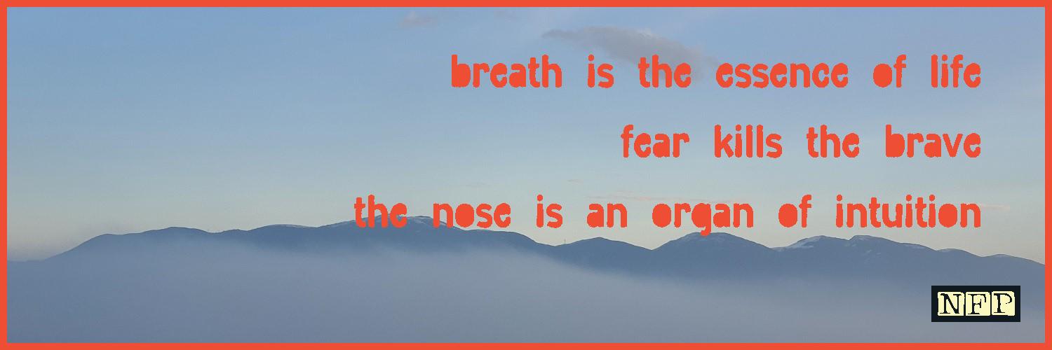 NotFungiblePoem #3684