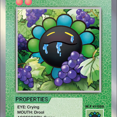 Grapes SP-107 EN