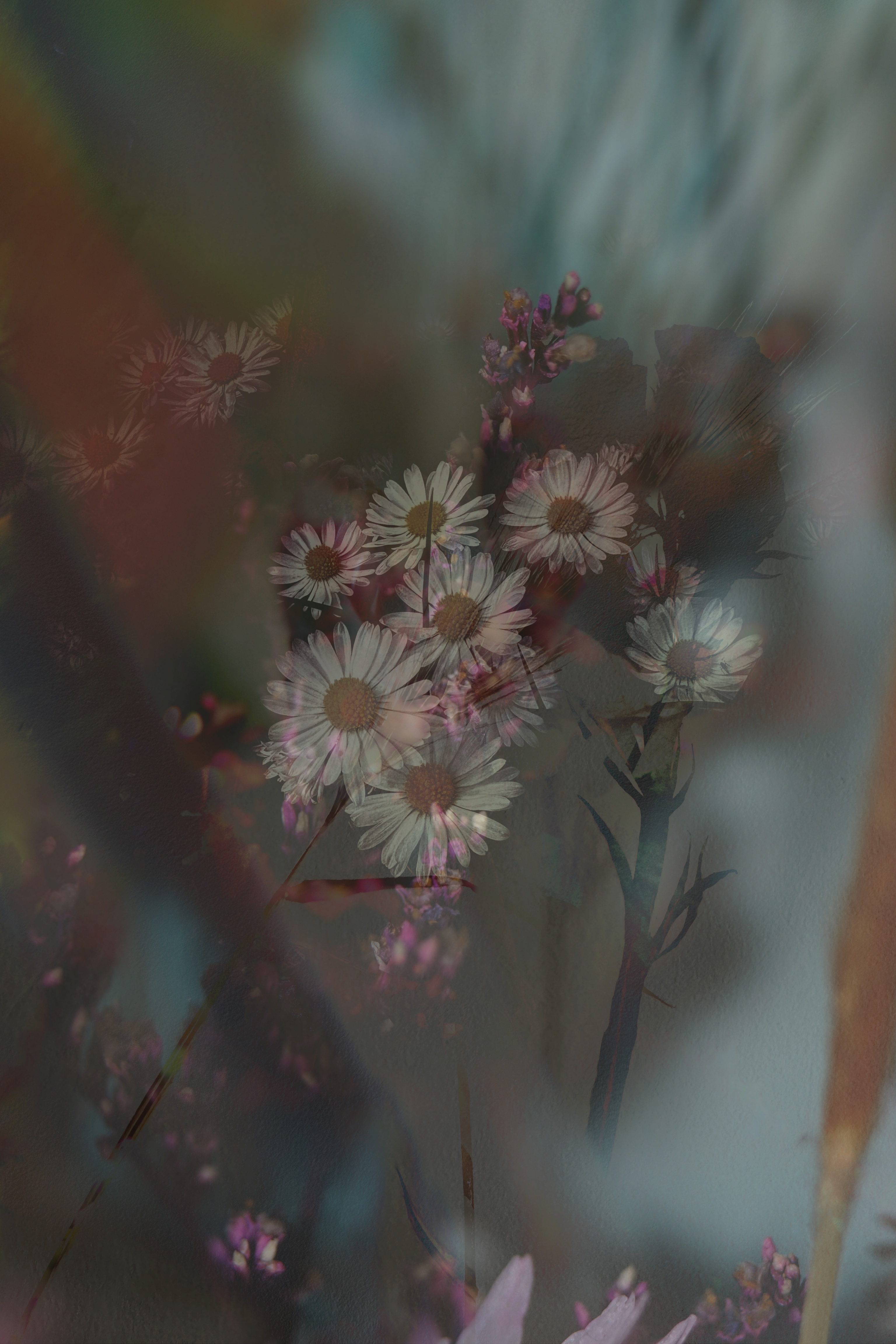 The Darker they Fall #1