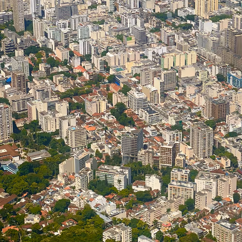 Concrete meets Jungle