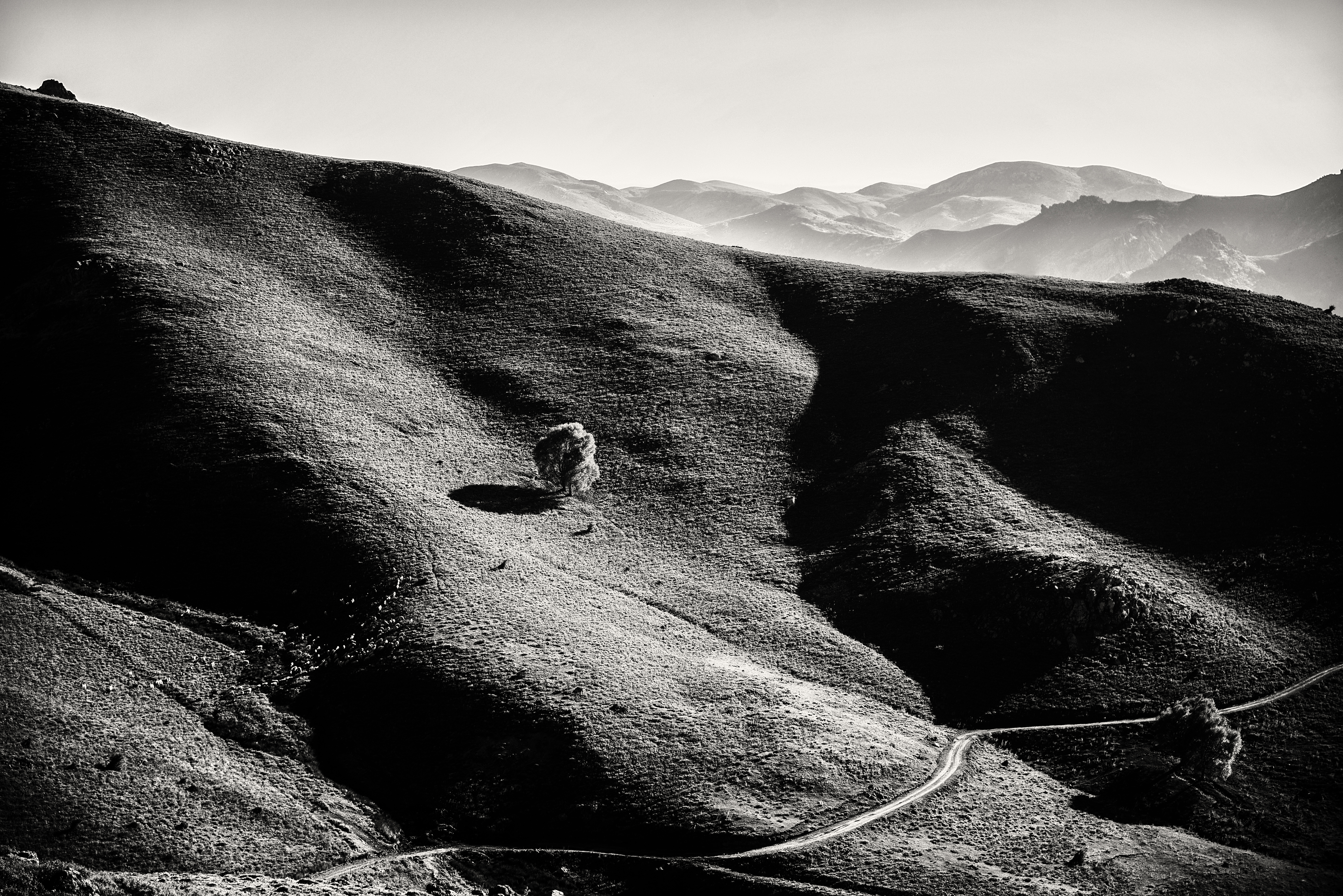 Voice of the Mountains #9