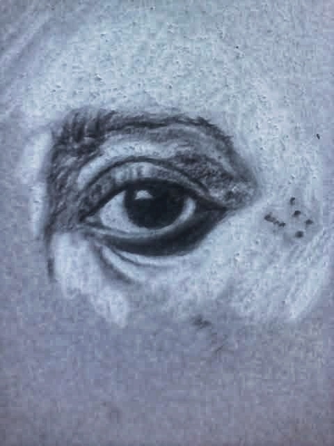Eye ( drawing) #19