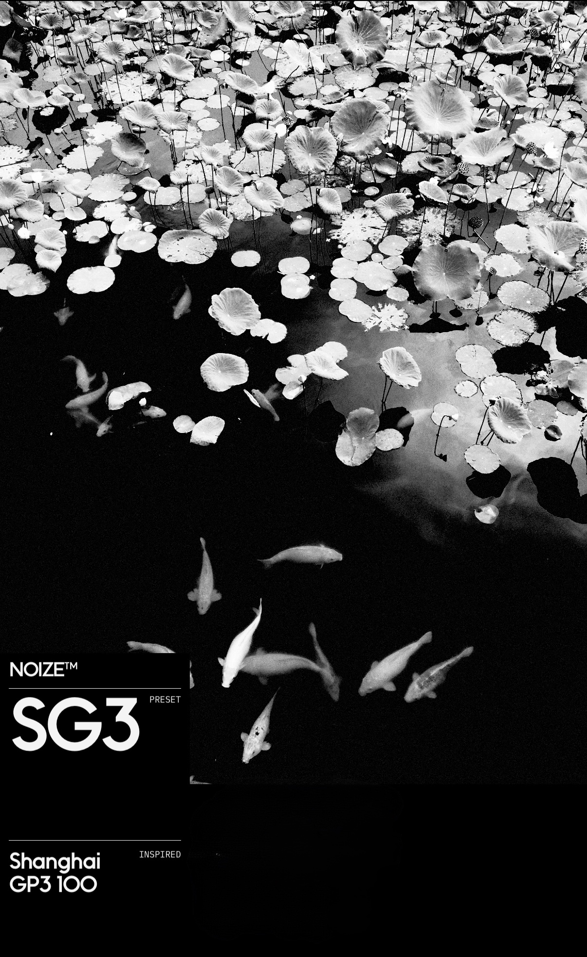 BnW Film Emulation #1