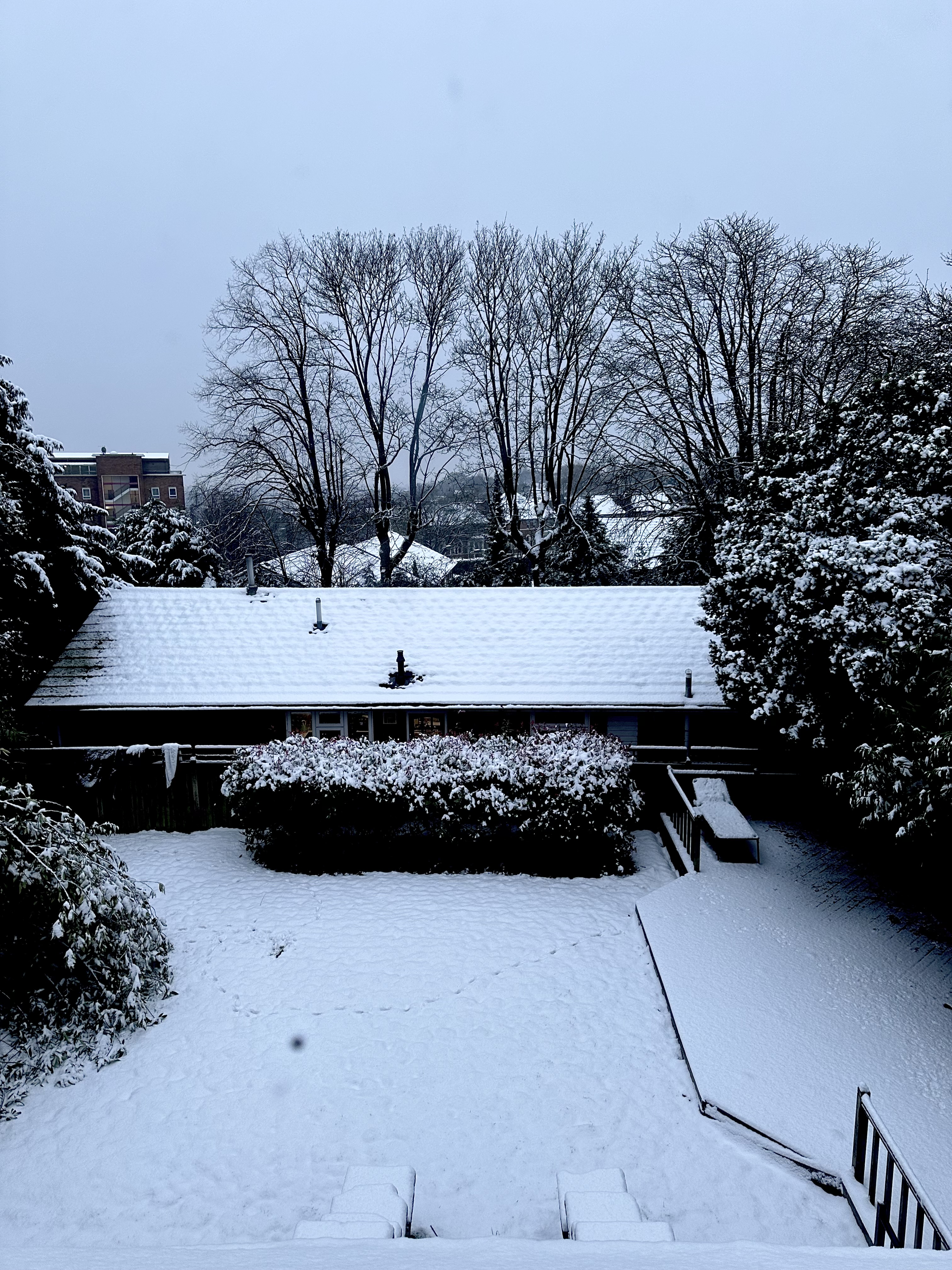 Snow Day 2023 #6