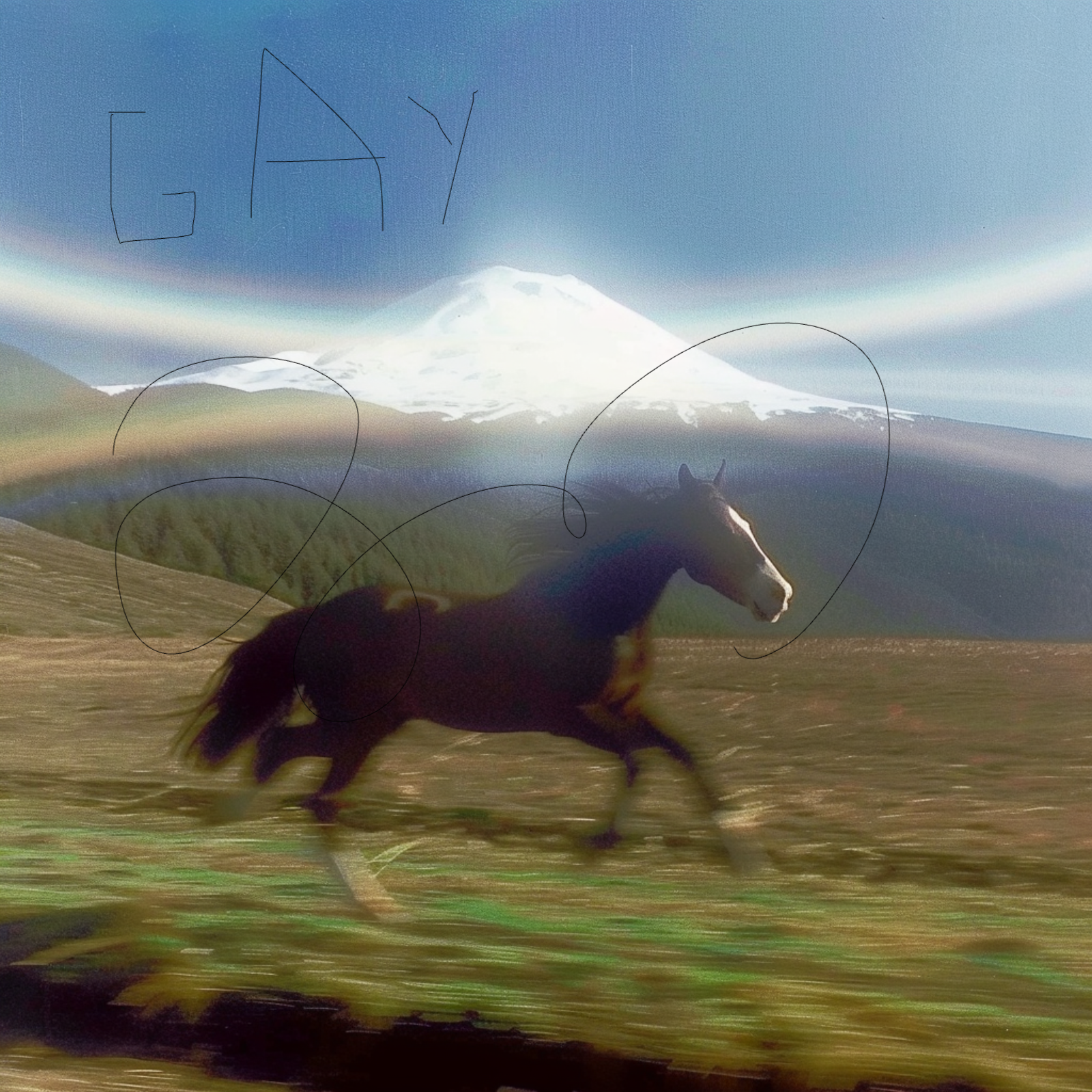 Gay Horse