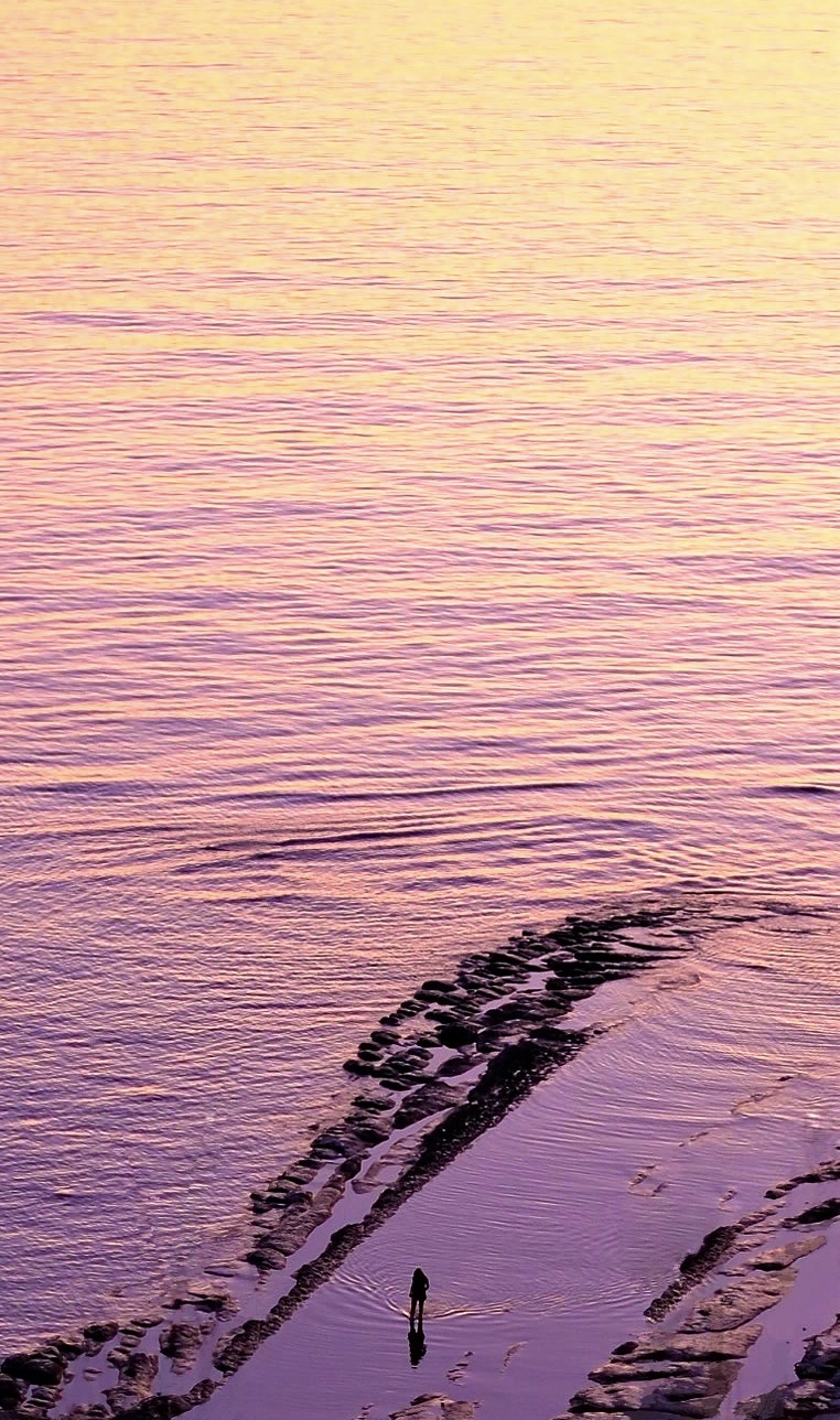 the possibilities 💜🧡💛