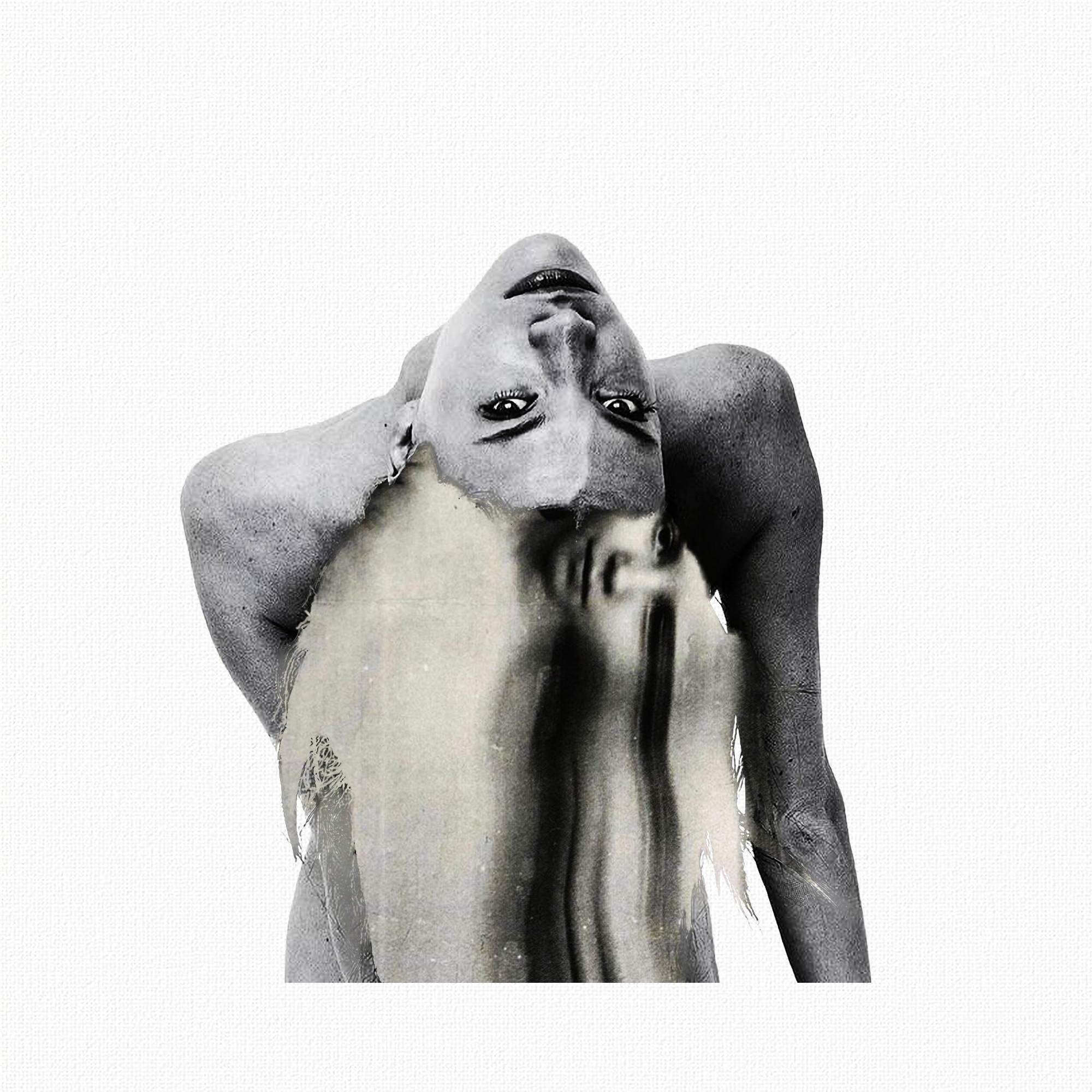 Collage N20
