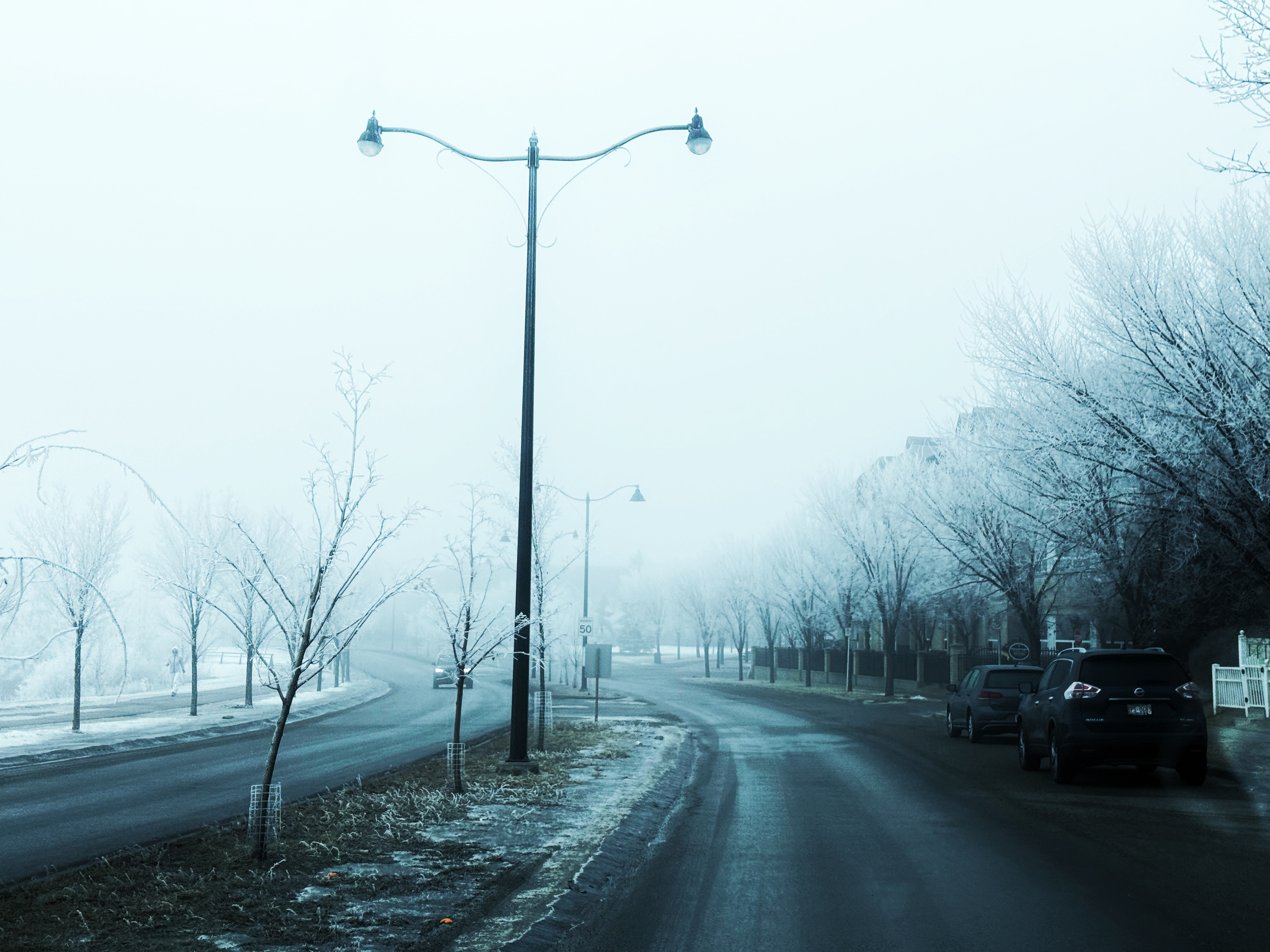 Frosty Fog Front