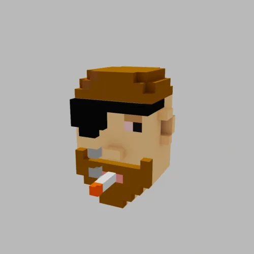 BaseVoxelPunks #763