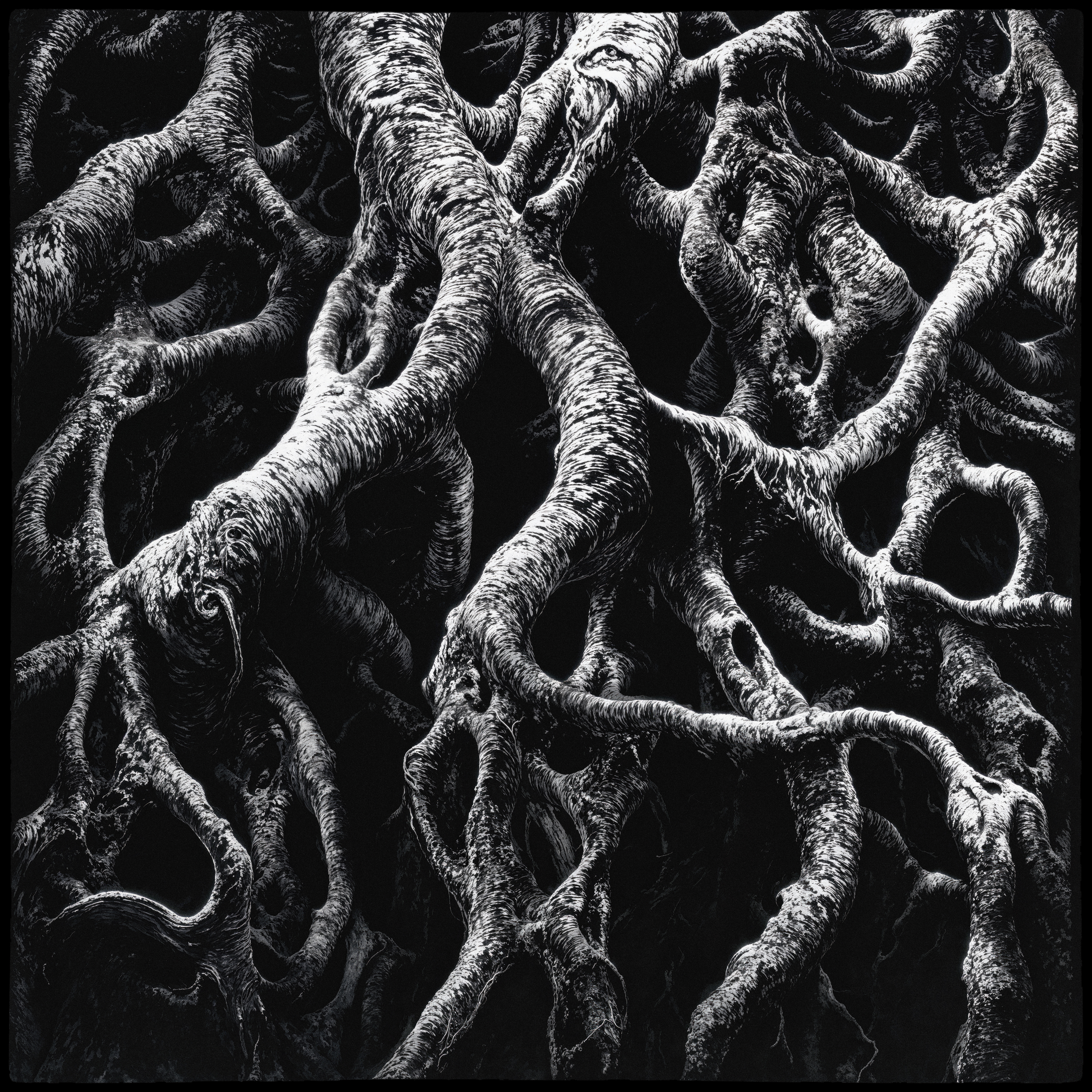"roots and branches" #45