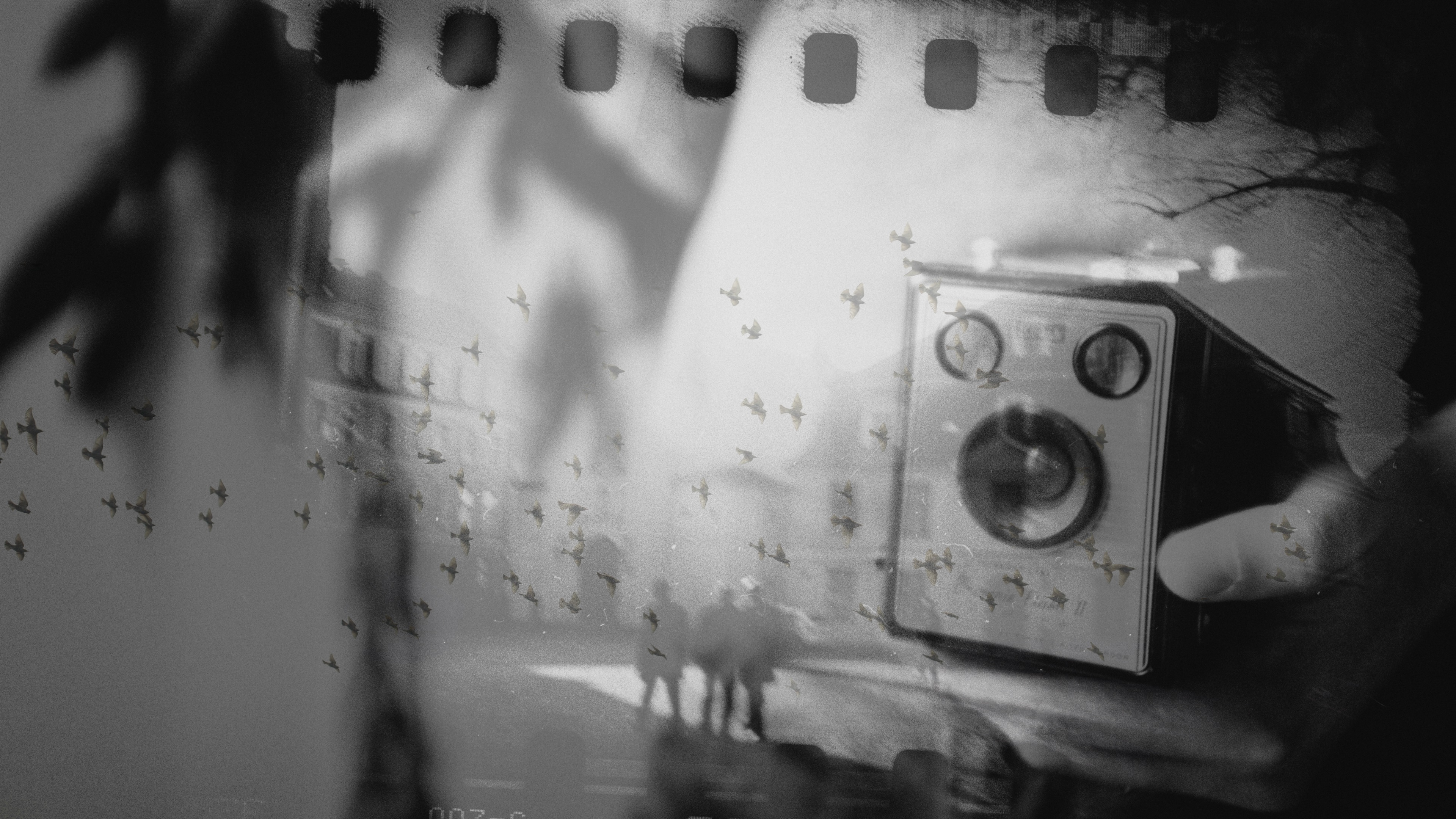 PhotoSynthesis Launch 2024-06-13