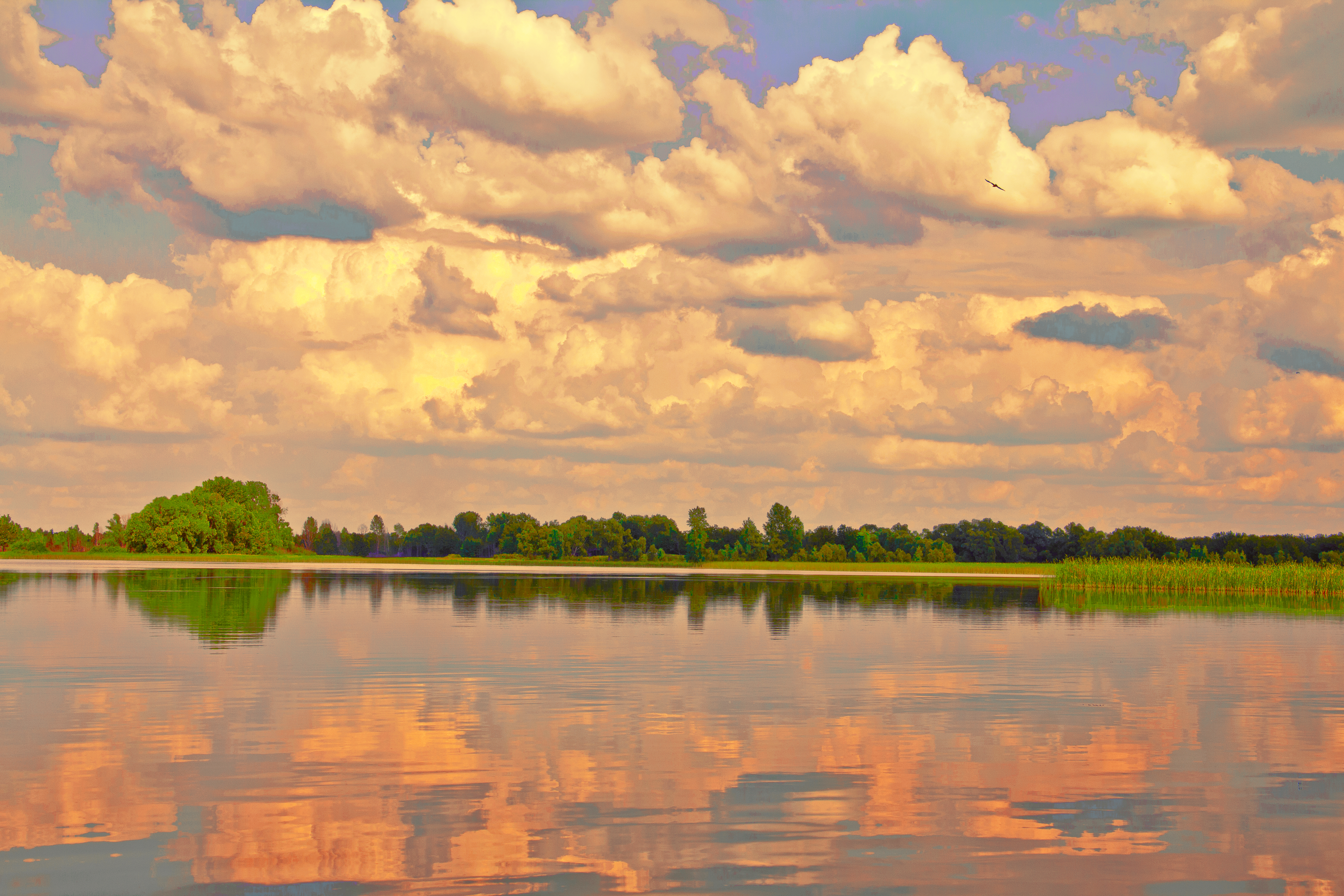 PICTURESQUE SCENERY 1356