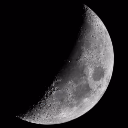 Moonlit Nights