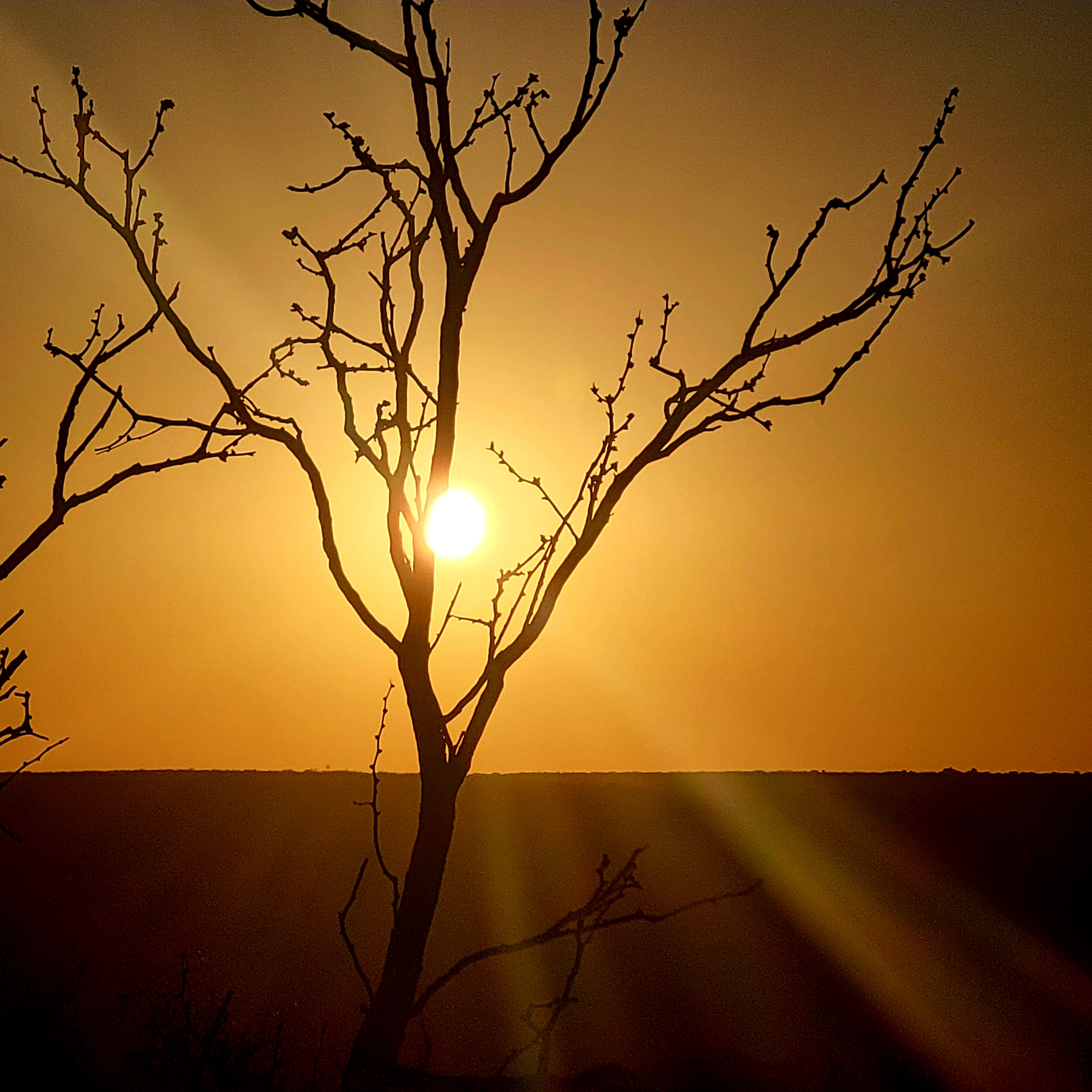 A Palo Duro Sunset #13