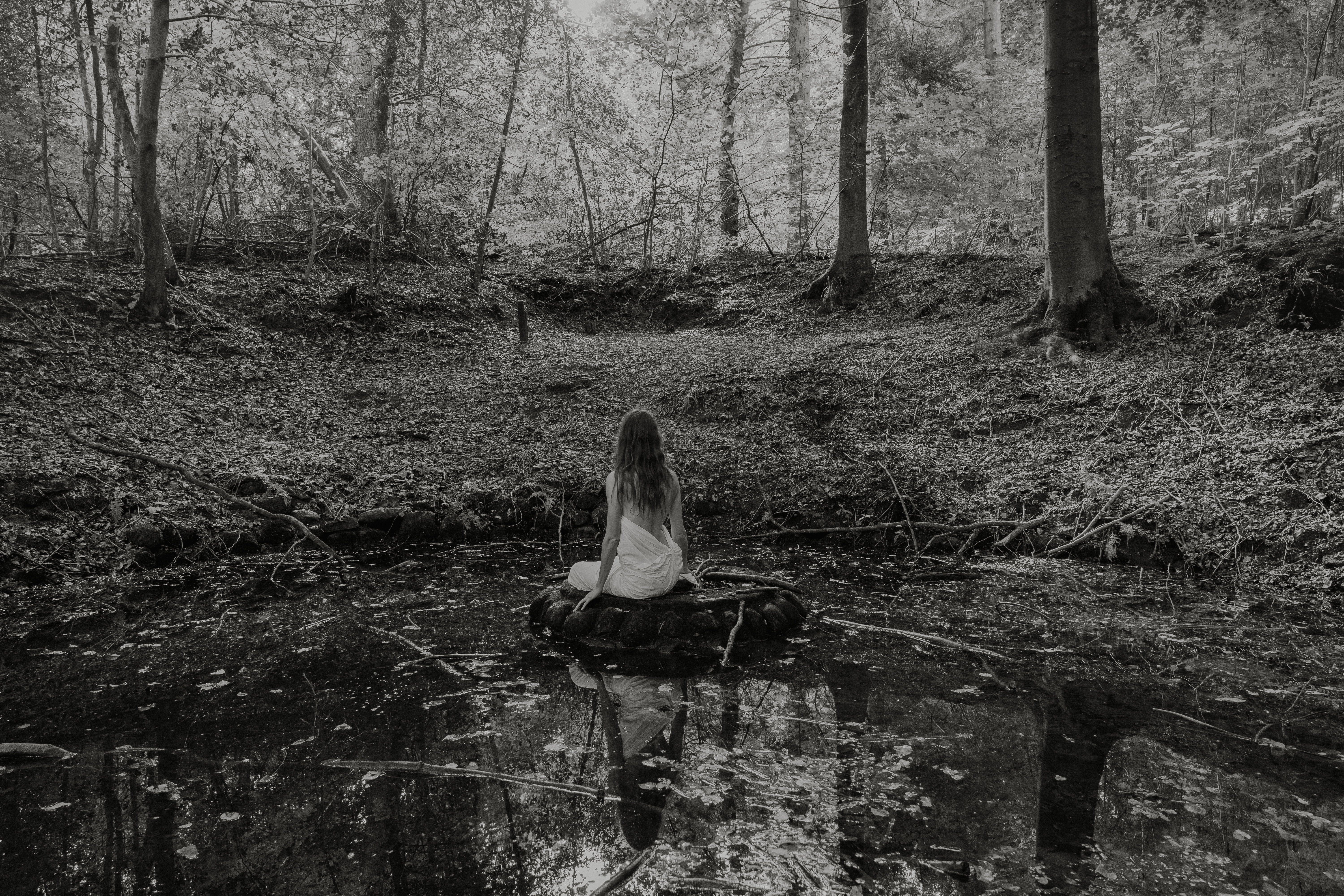 Dryad location test