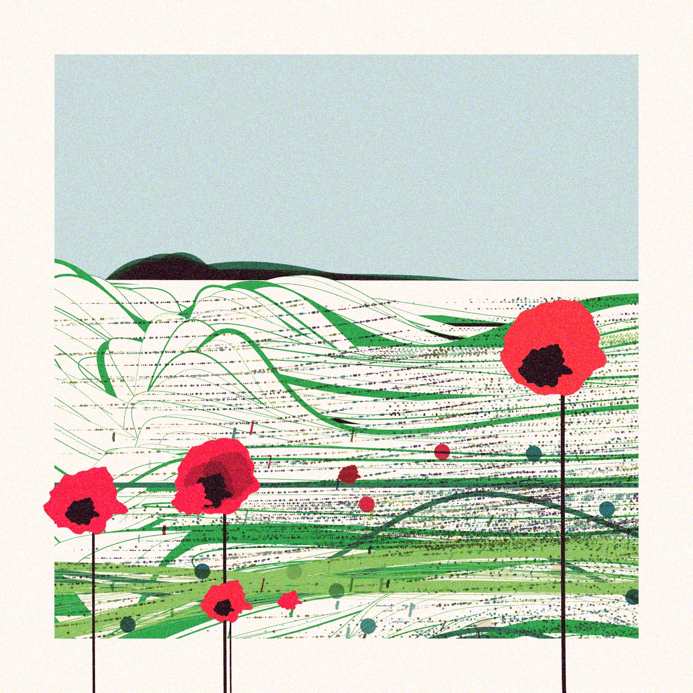 Poppies of Normandy