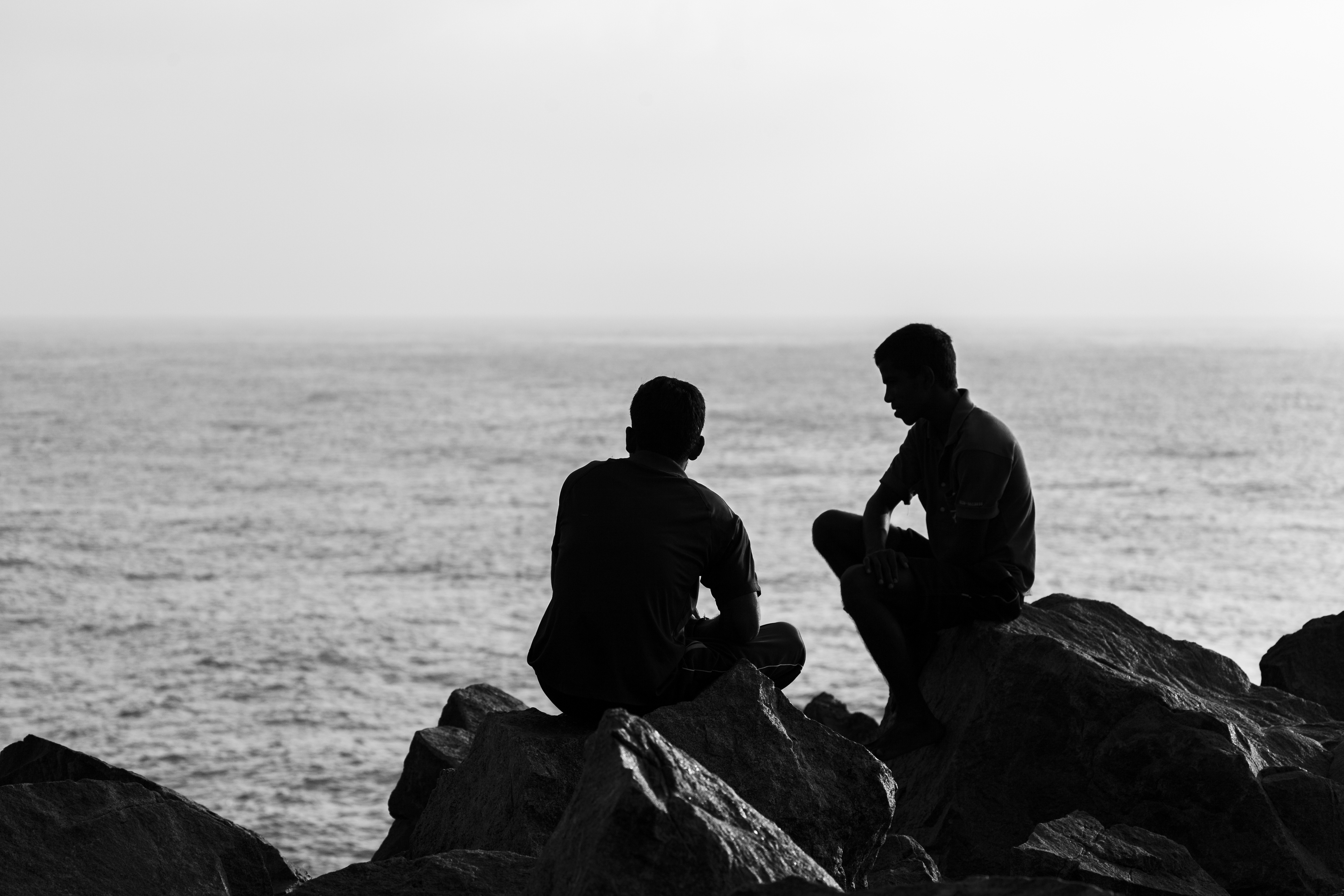 Friends by the Shore #1