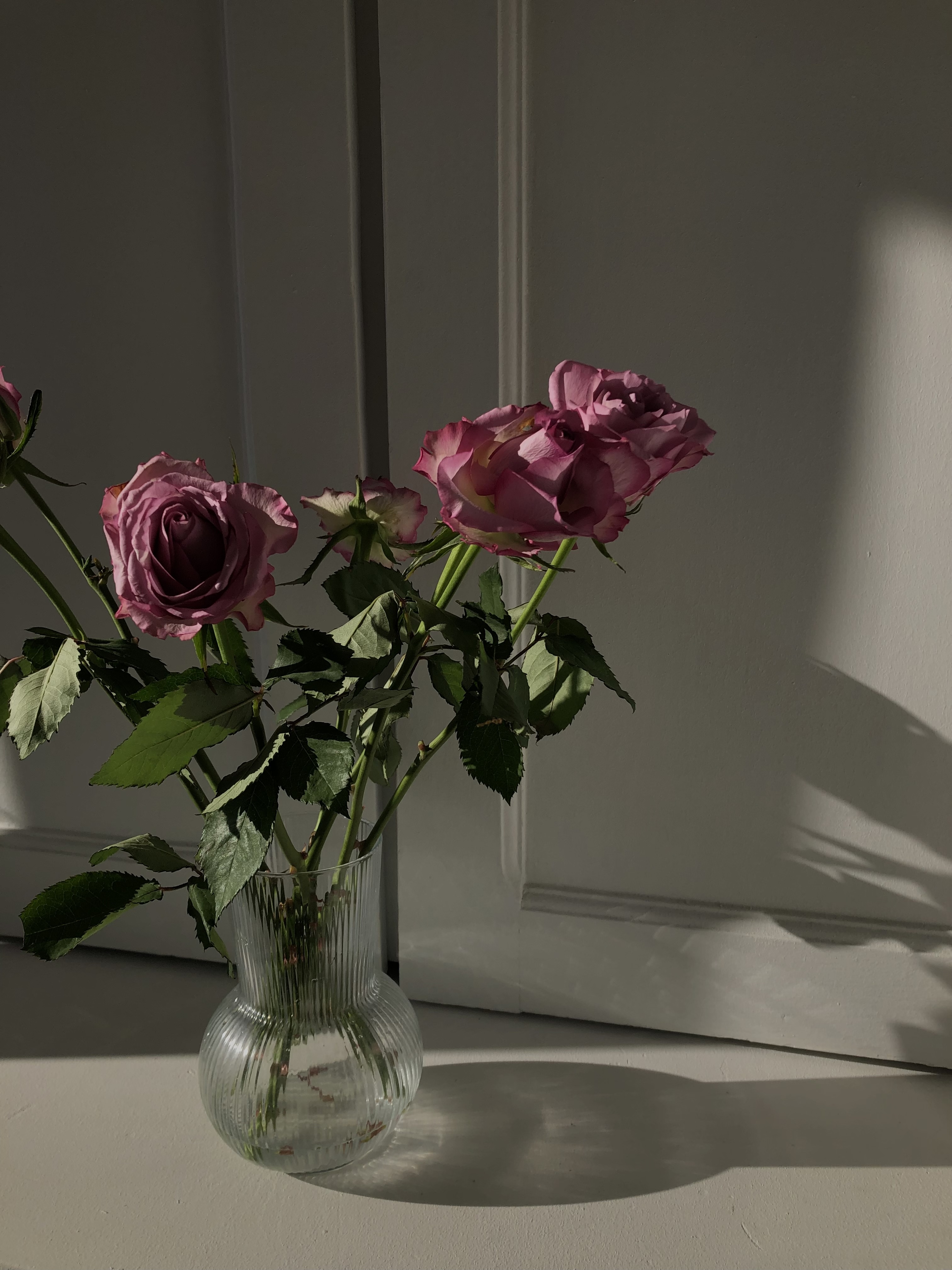 even though roses are not my favorite...