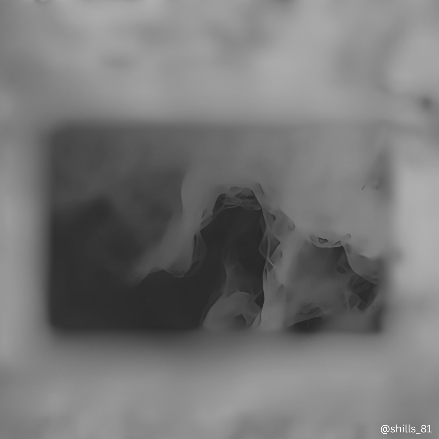 Silence #2065