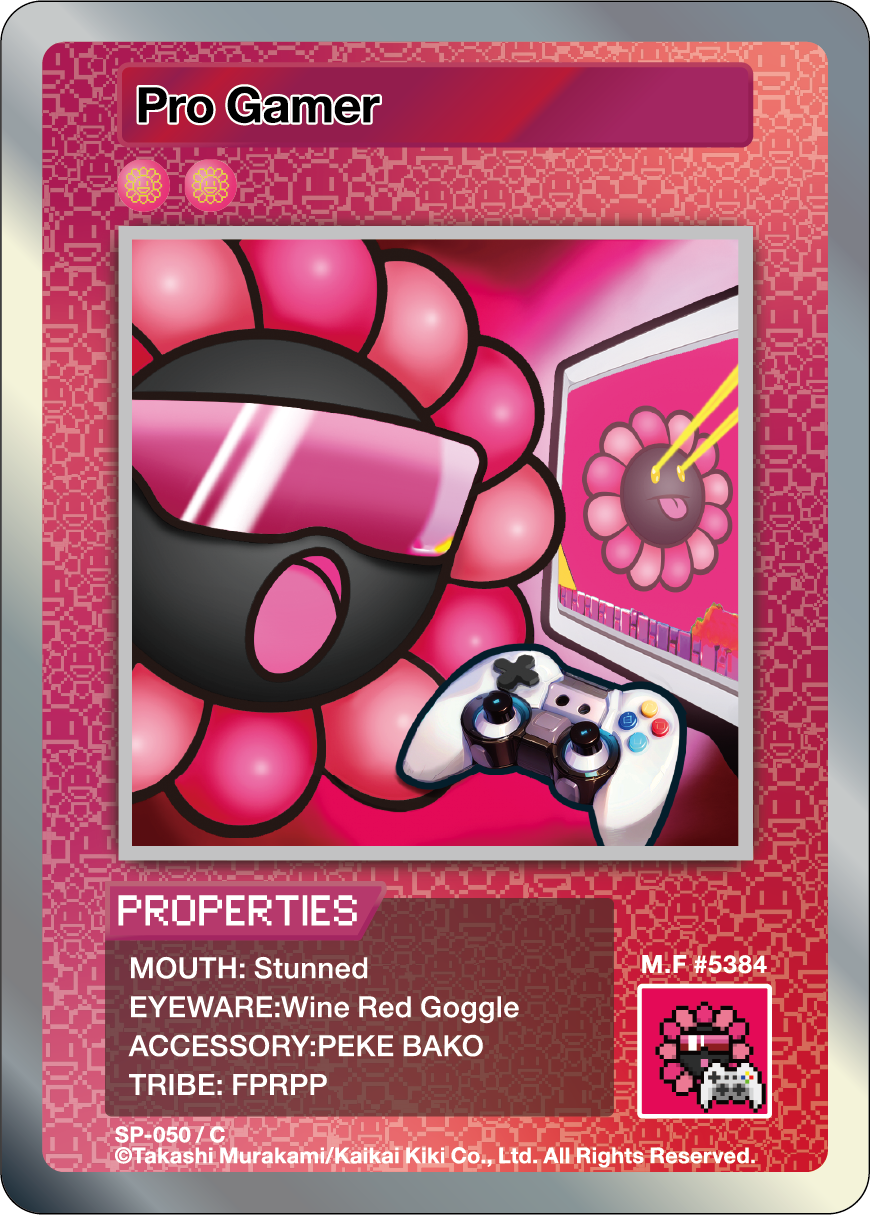 Pro Gamer SP-050 EN