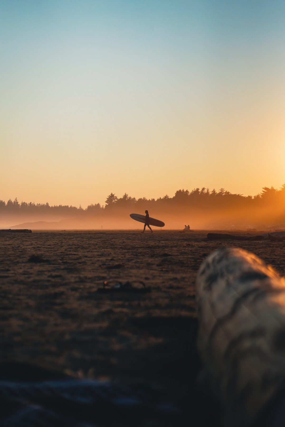 Sunset Swell