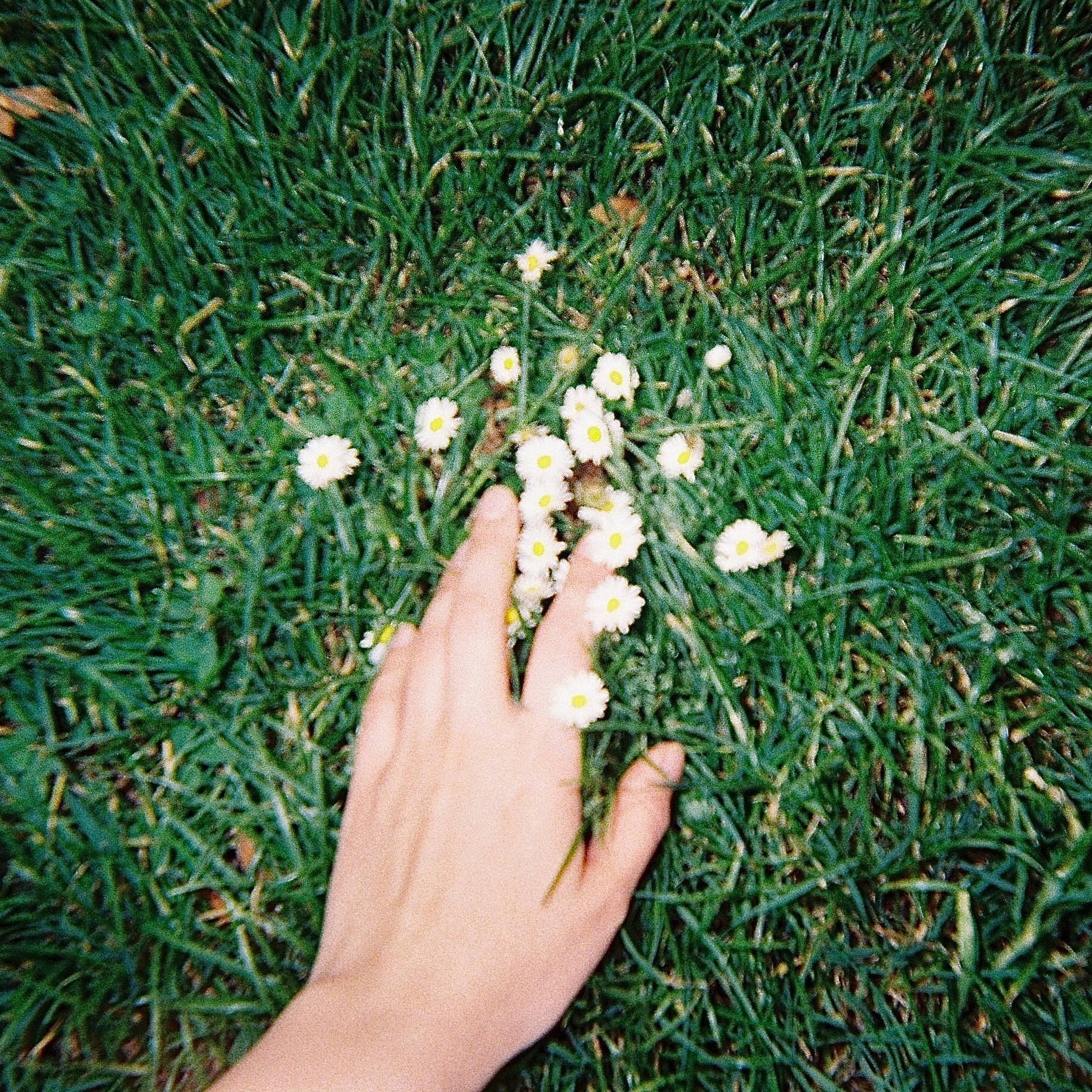 could you not go? - Limited #259
