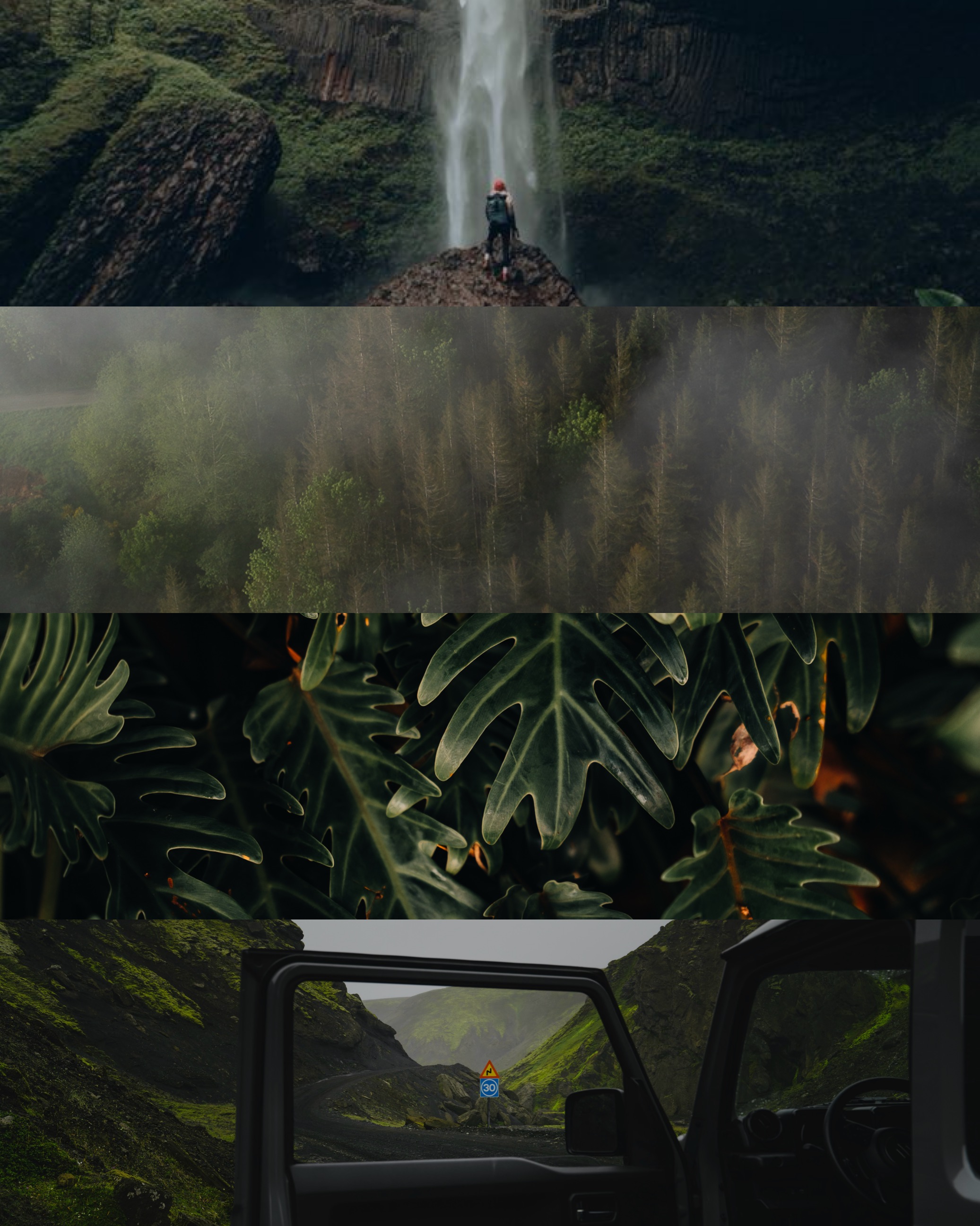 CHROMA: GREEN 001 //