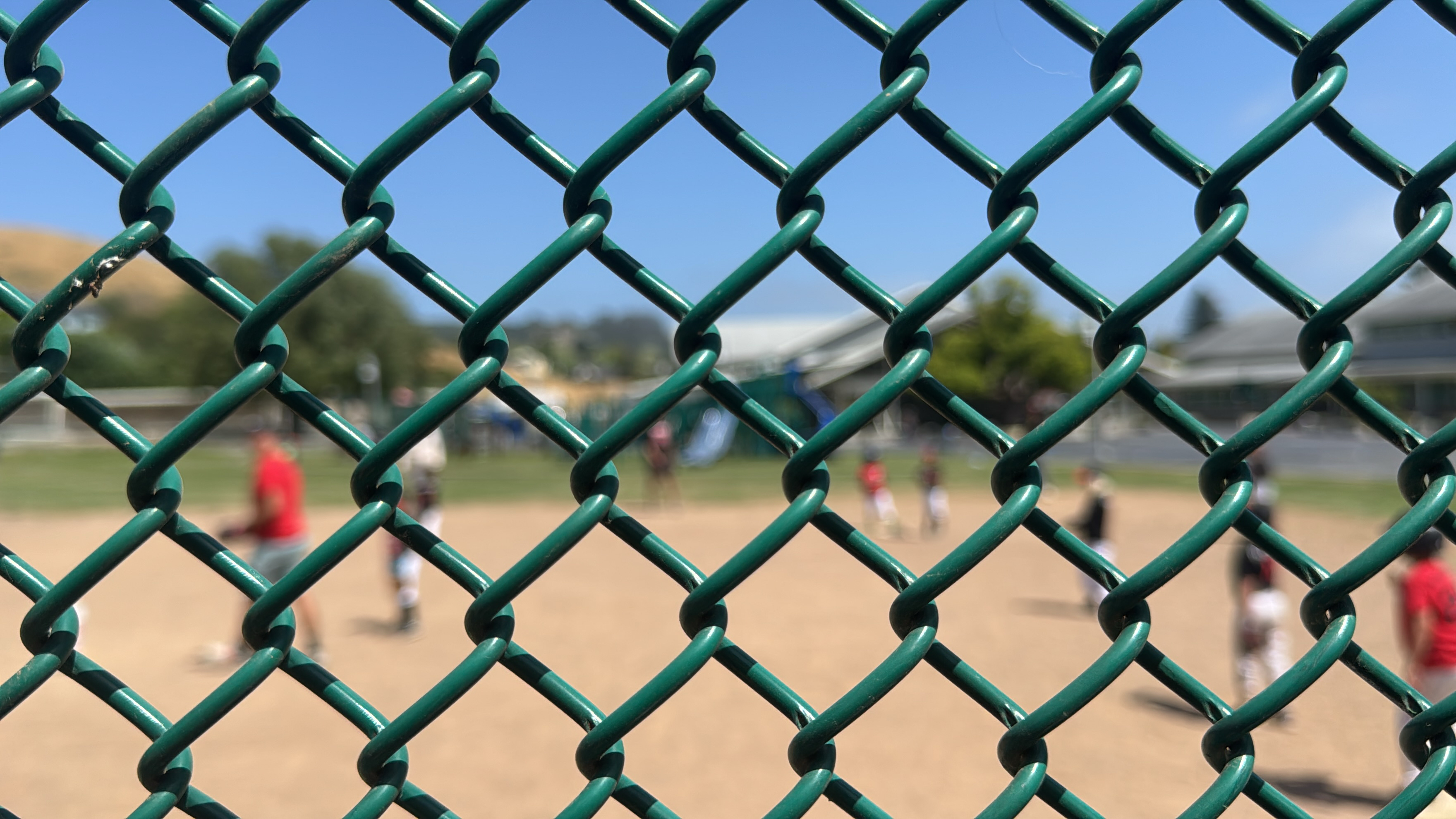 the real view at the ballgame