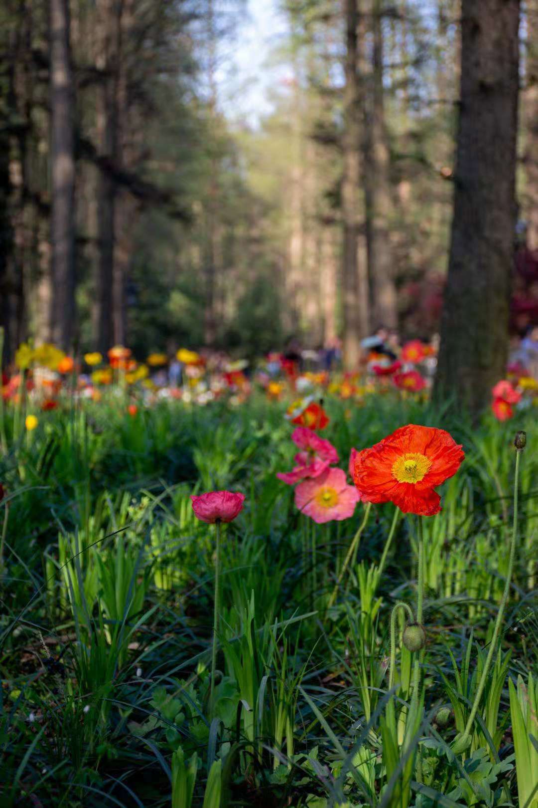 Nature's Brushstrokes #23