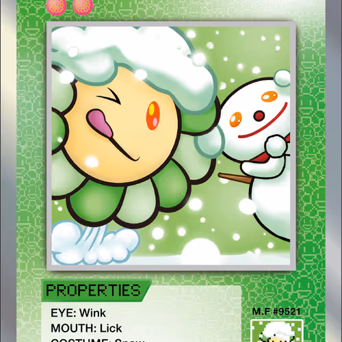 Snow SP-089 EN