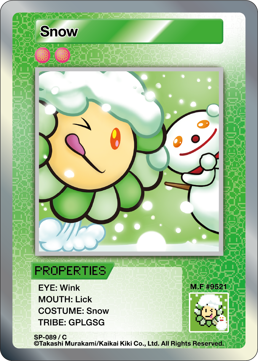 Snow SP-089 EN
