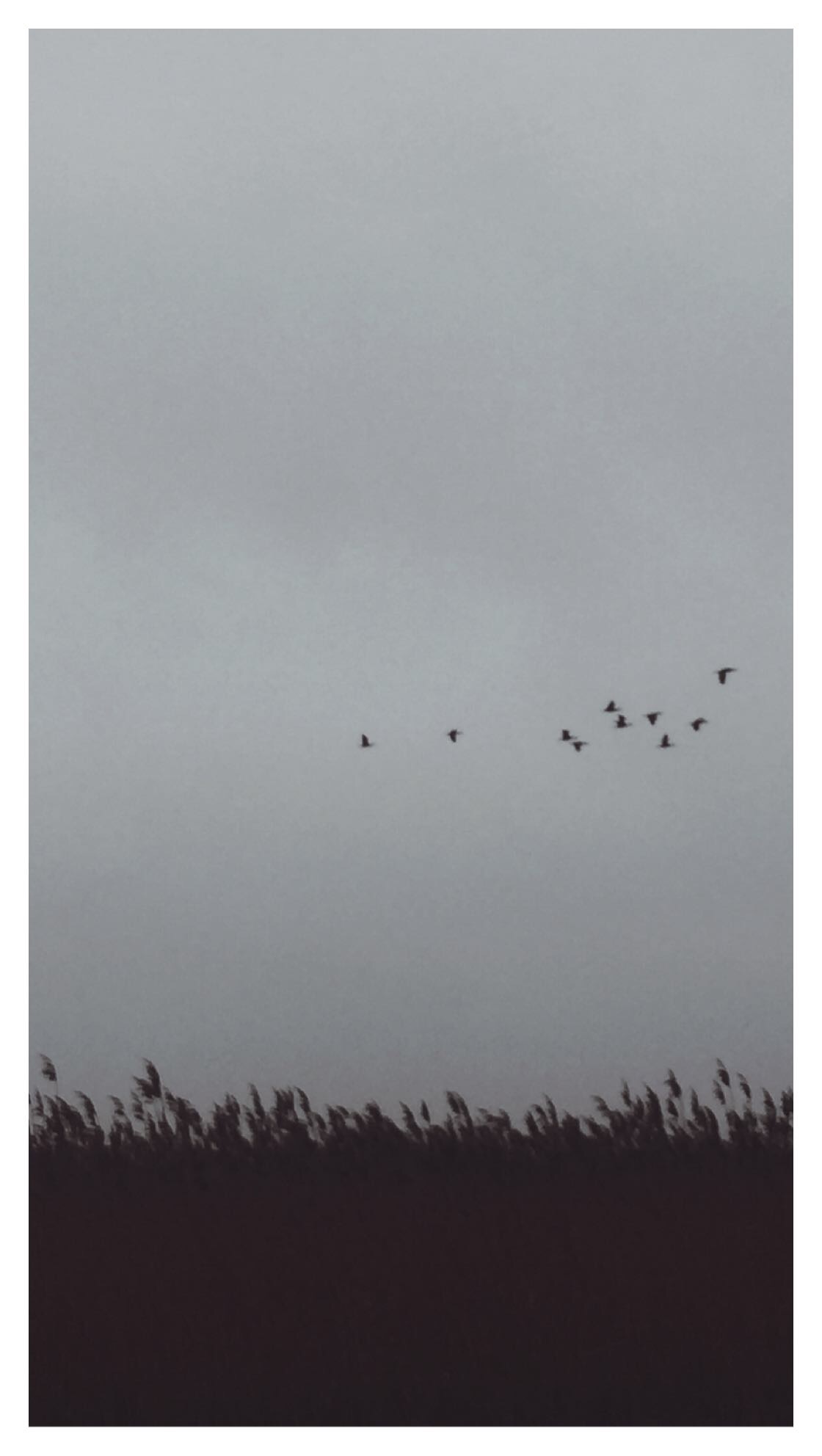 Winter haiku