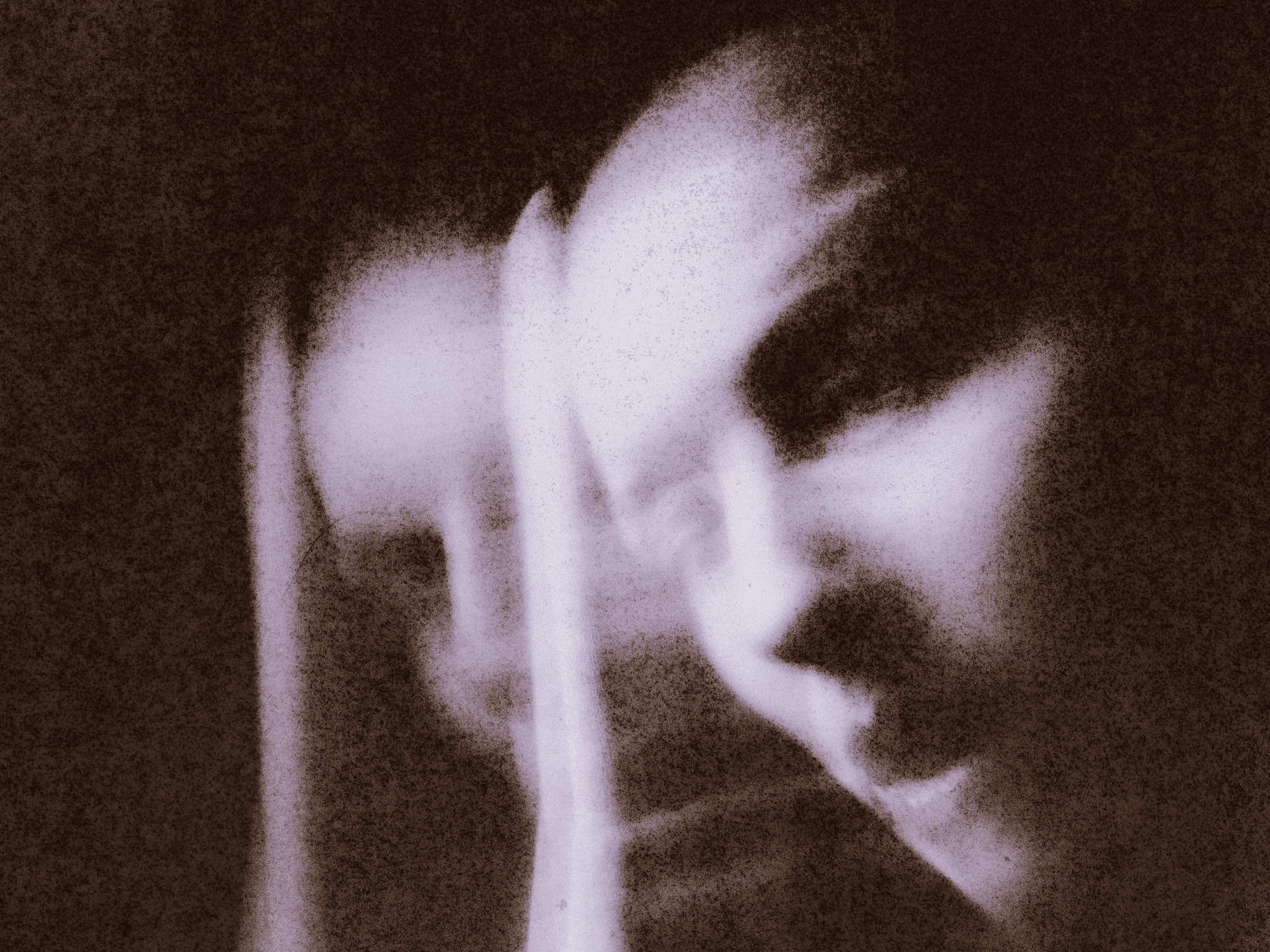 Path (diptych)