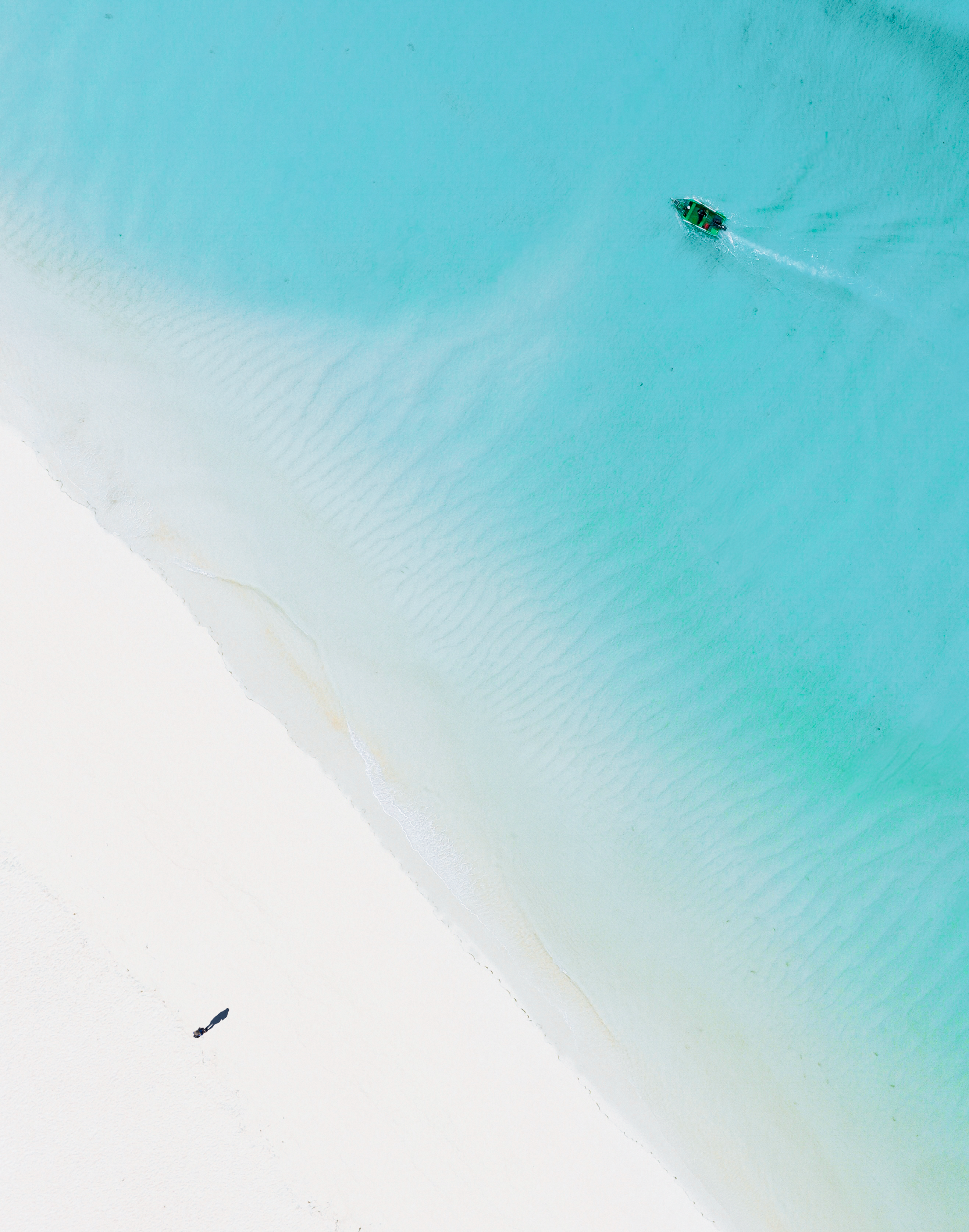 Bliss