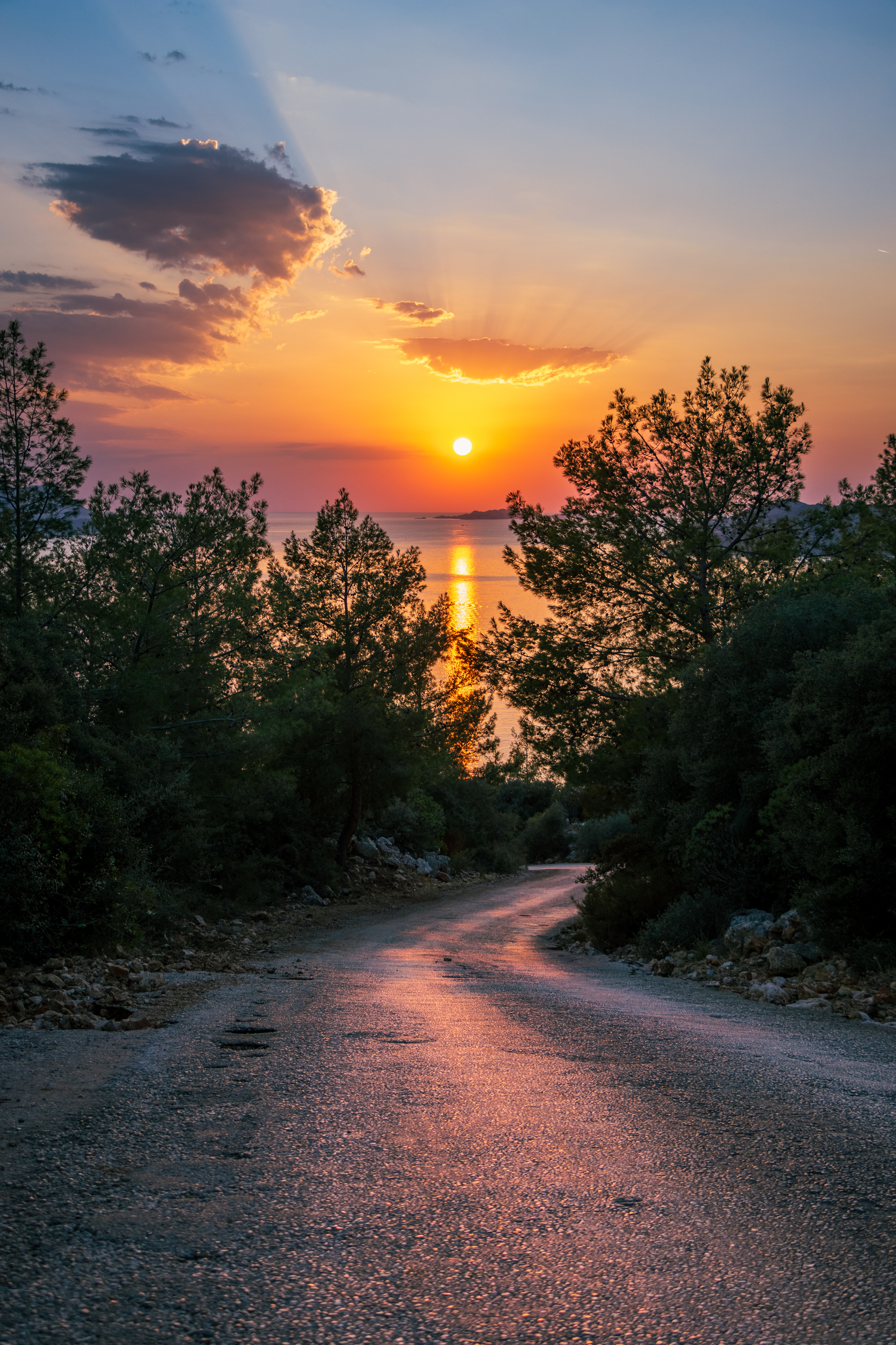 The Road To The Sunset #82