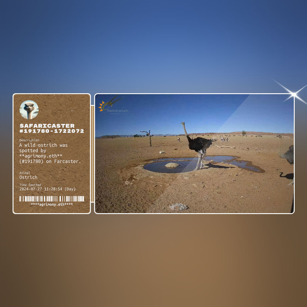 Safaricaster