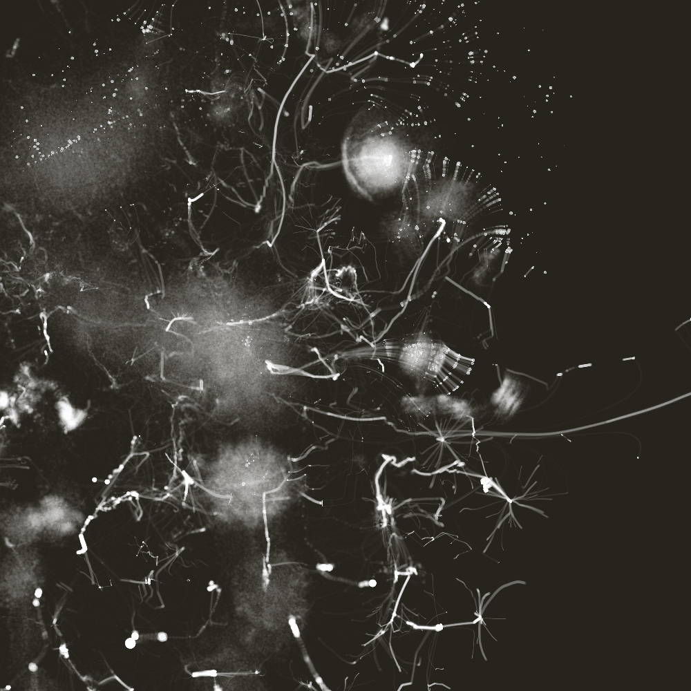 Echos, III