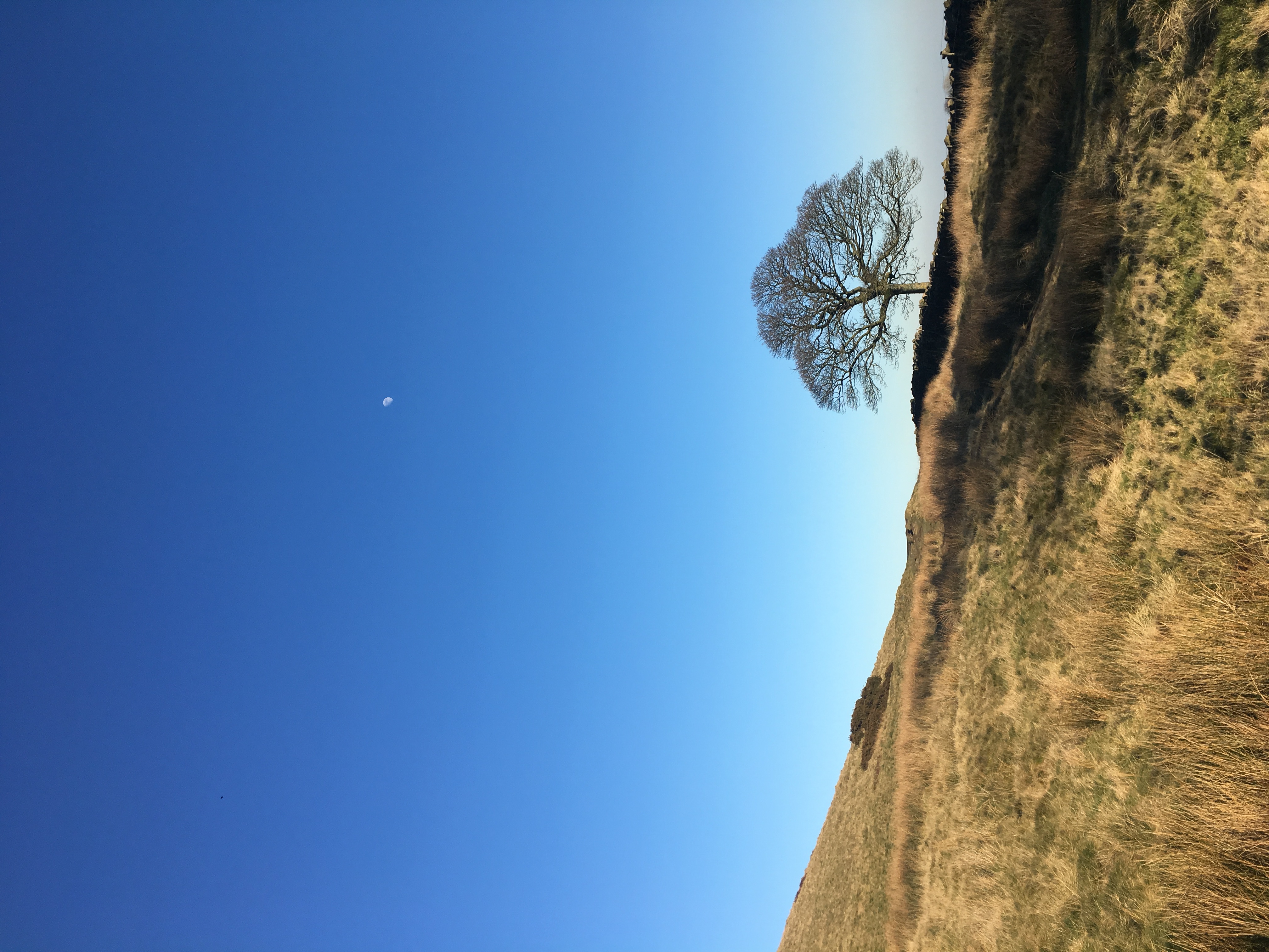 the moon and the sky