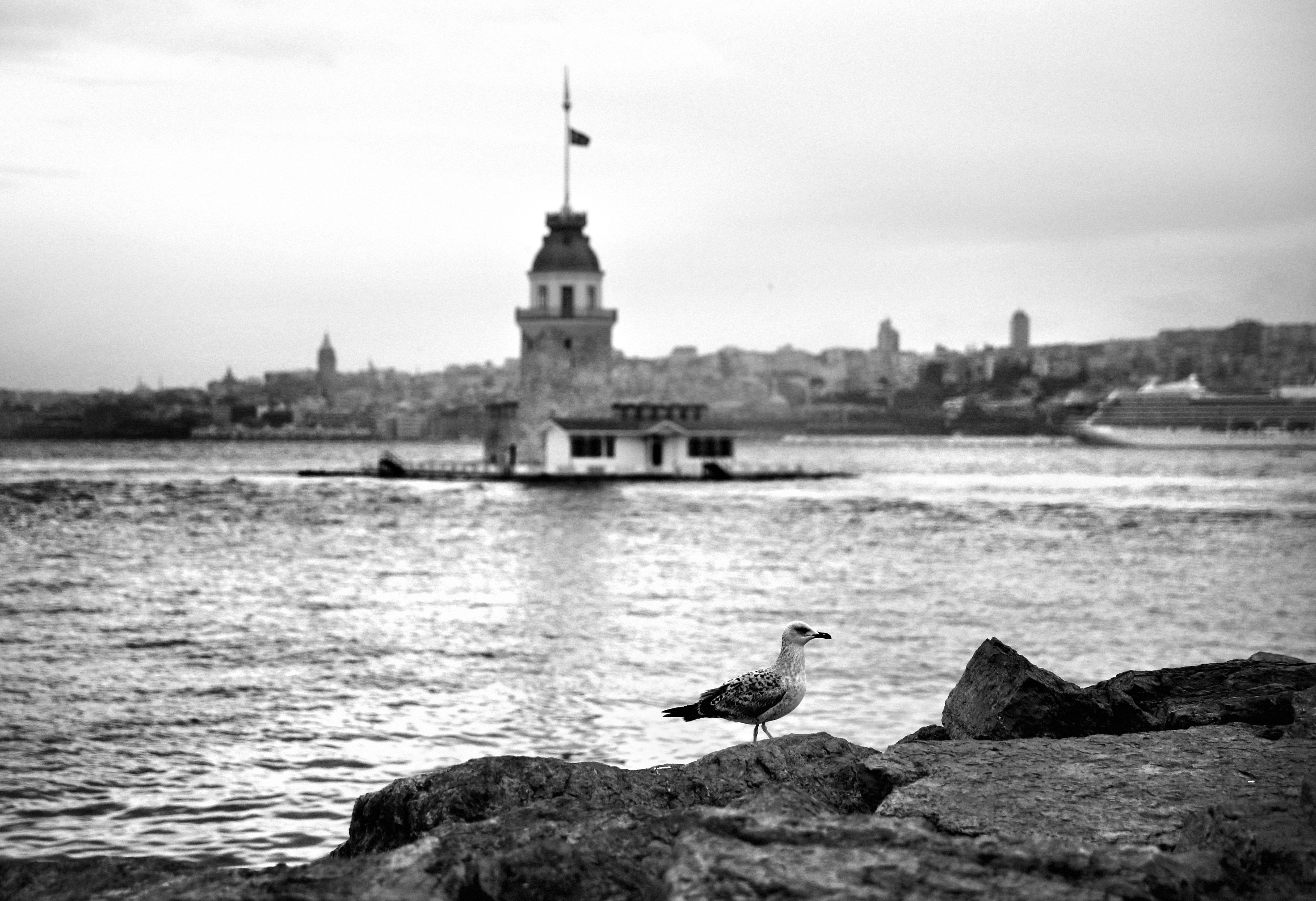 Loving Istanbul #33