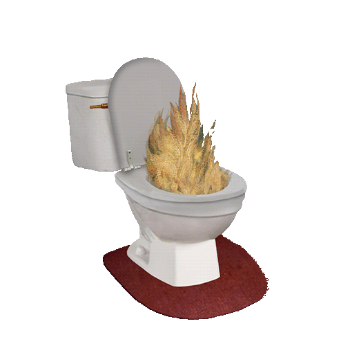 Toilet Fire