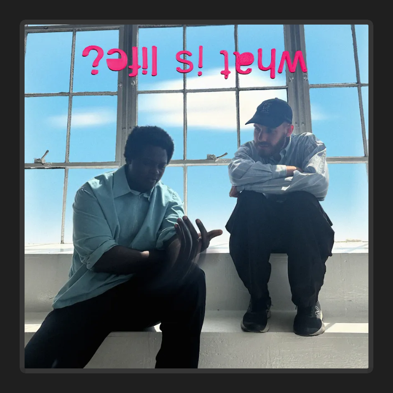 what is life? (feat. Bipolar Sunshine) - Free #26