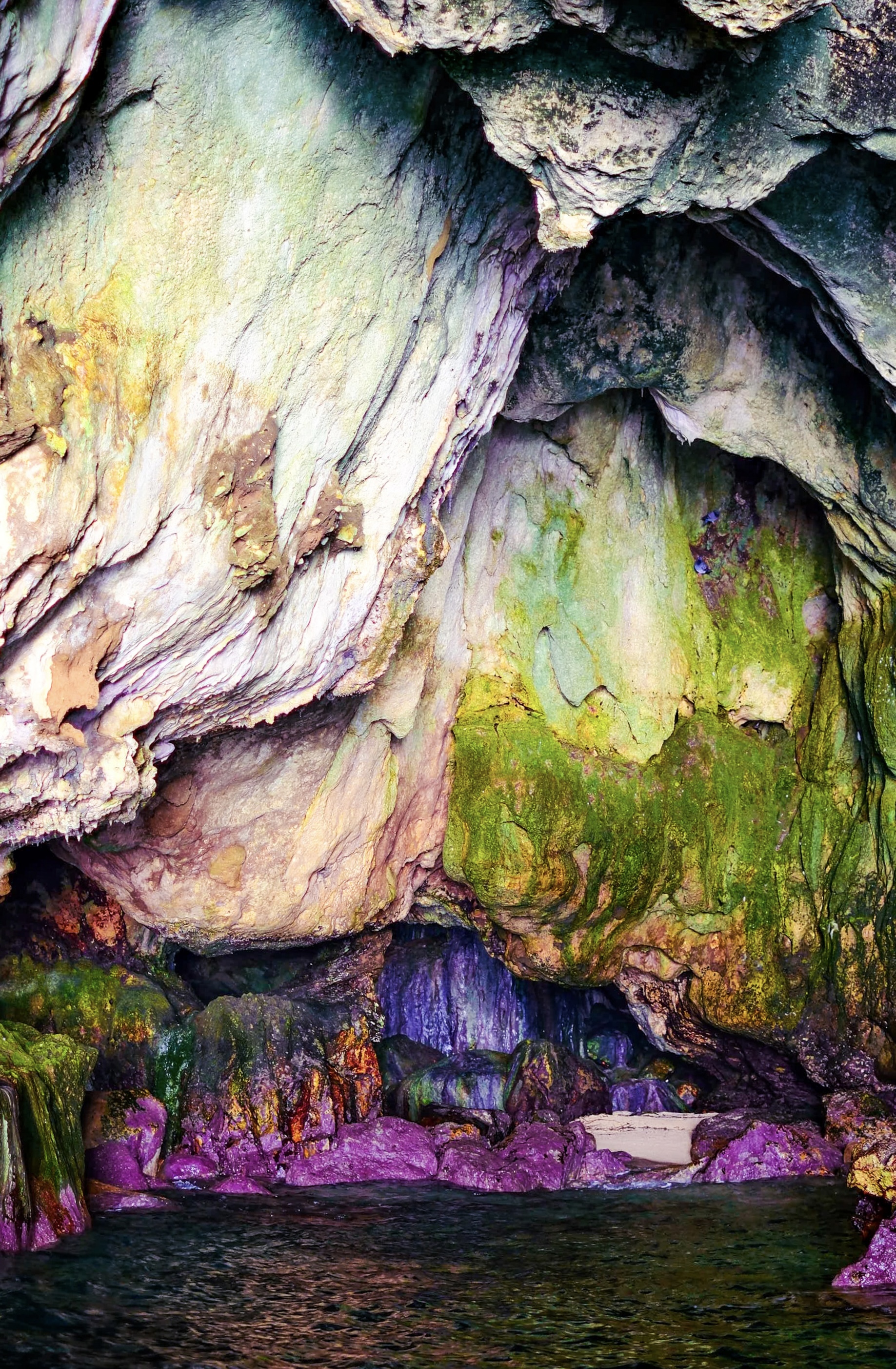 nature’s canvas 🎨🖌️