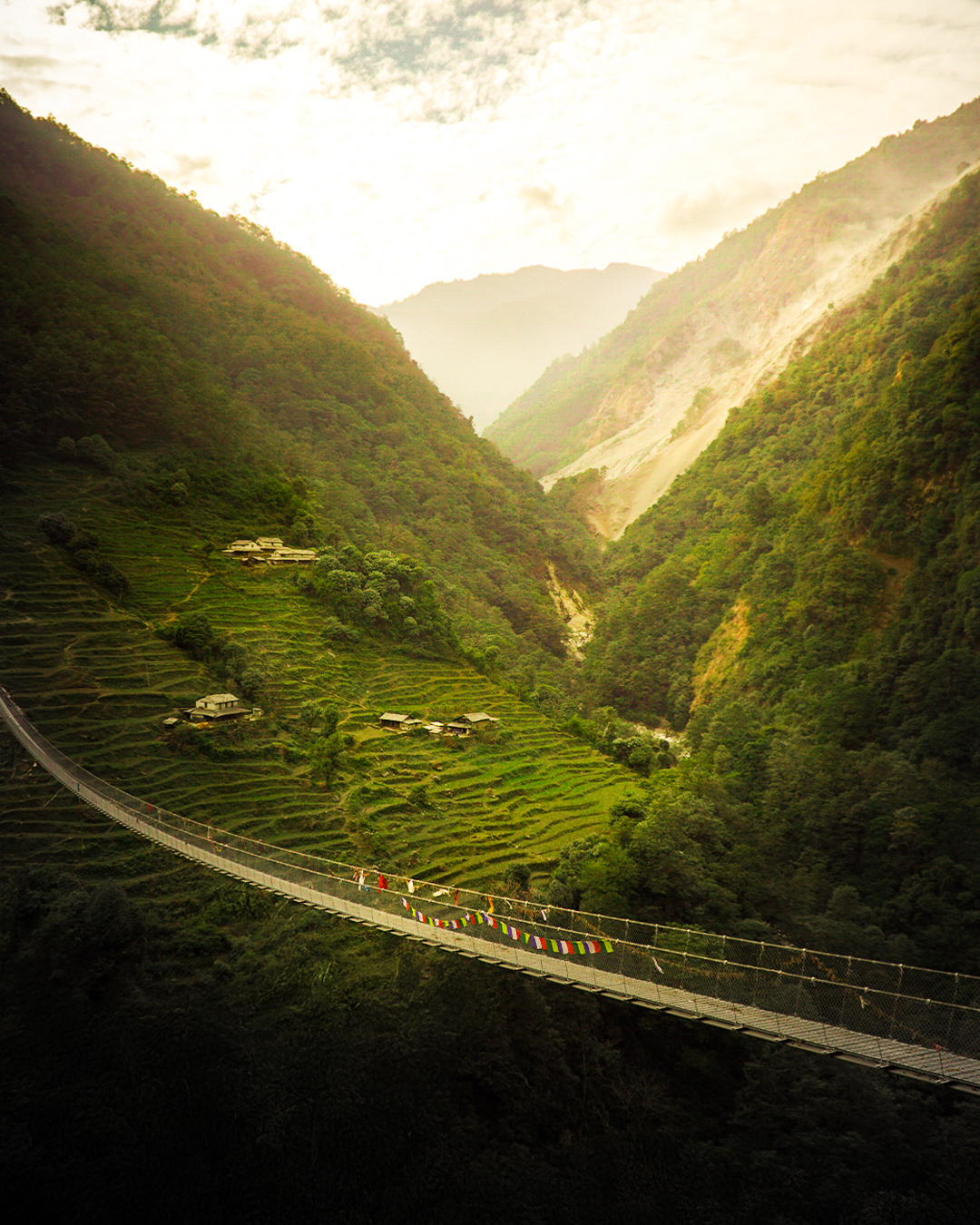 Behind The Handle IX #5